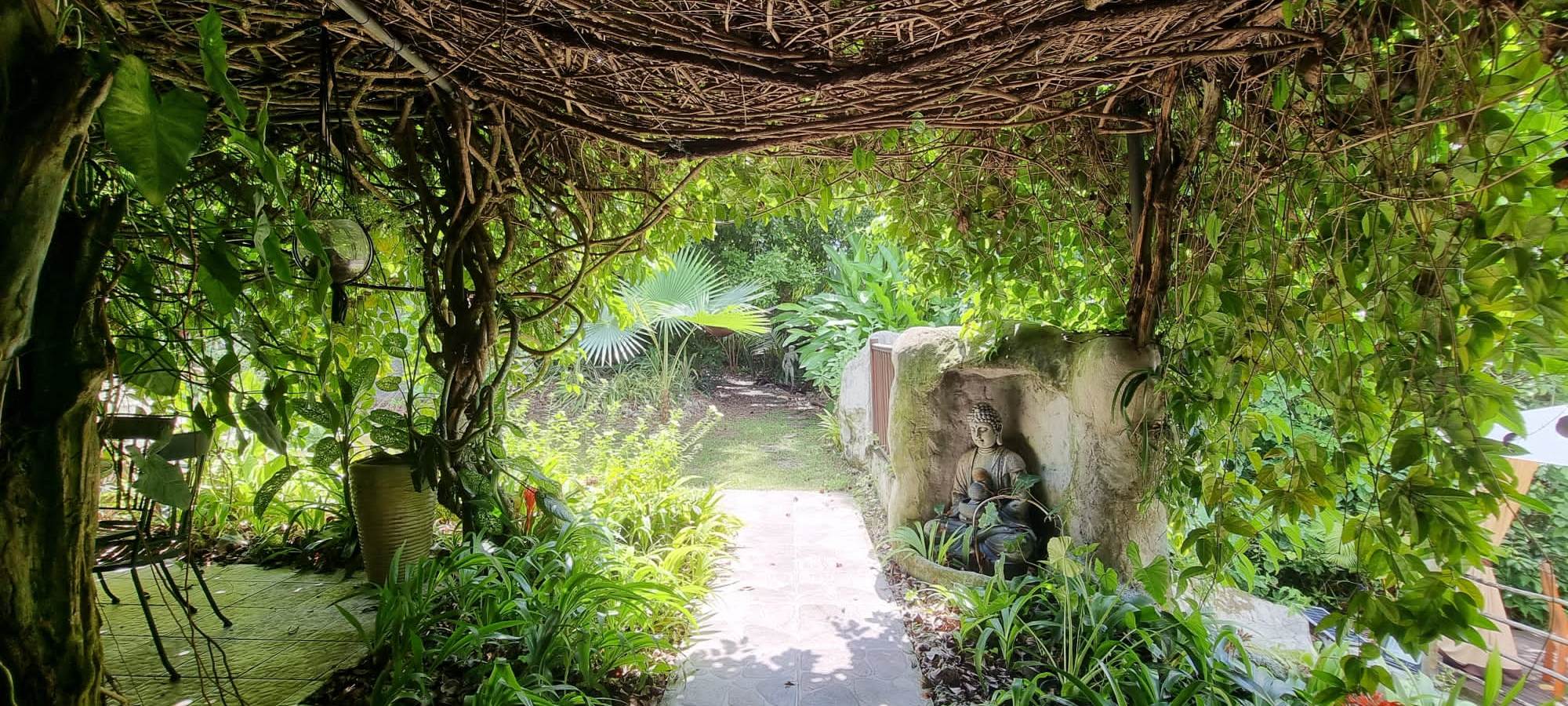 l entrée vue sur jardin depuis grande terrasse