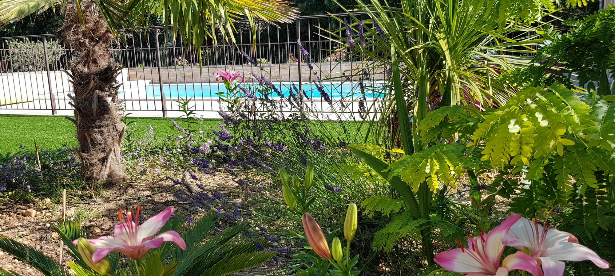 Jardin méditerranéo-provencal de la piscine des gîtes Luberon Lub'heureux