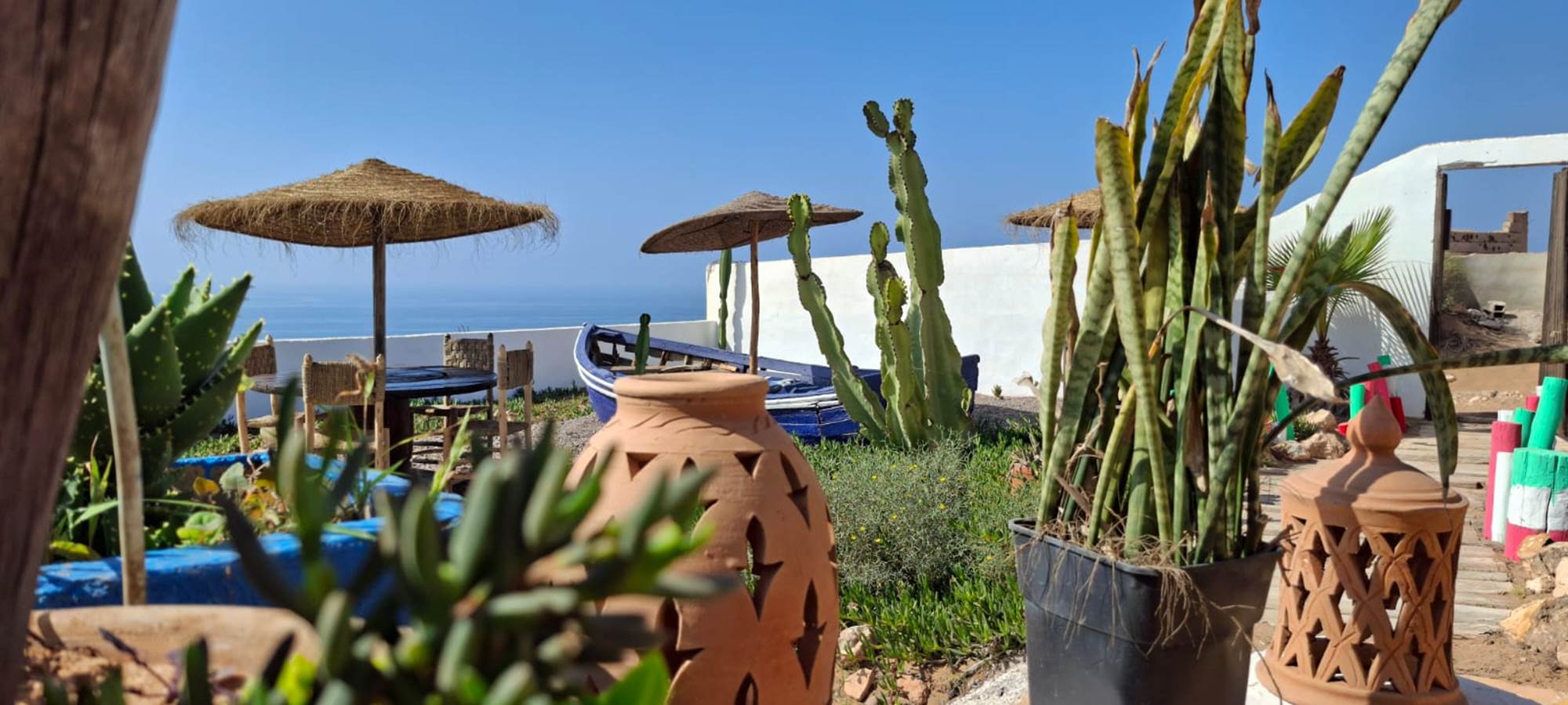 WhatsApp Image 2025-10-23 at 08.48.09