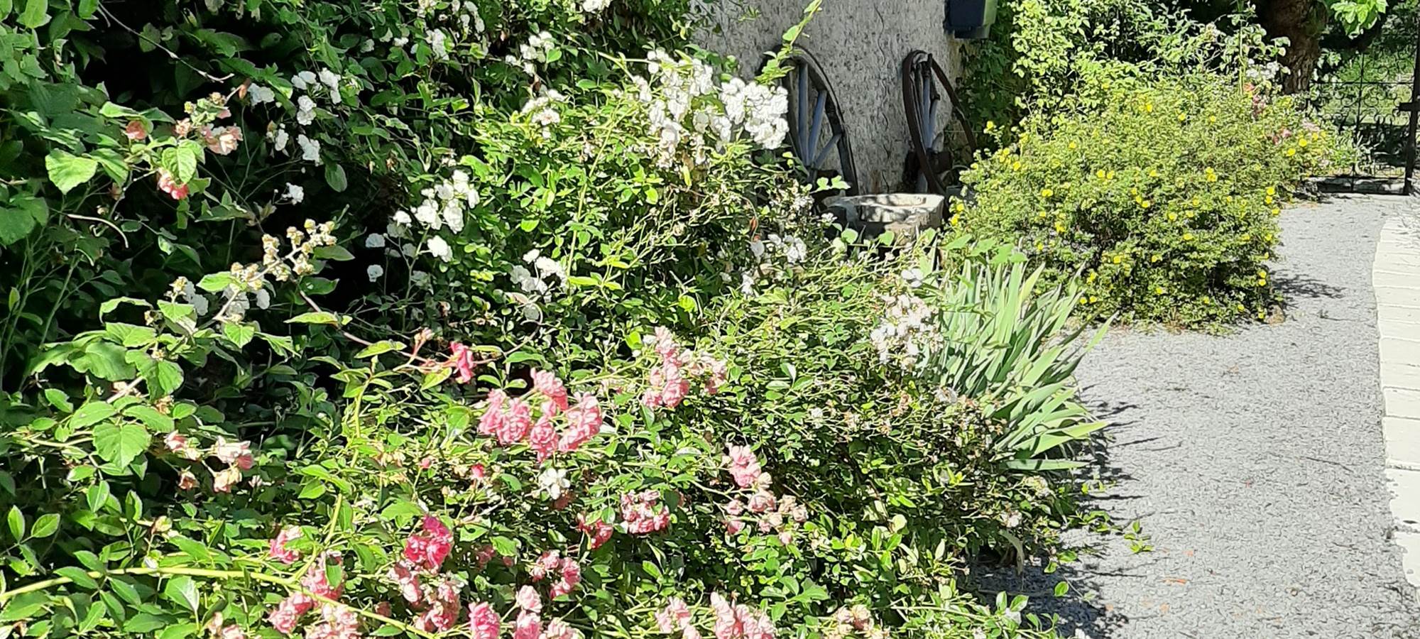 Entrée Studios et gîte