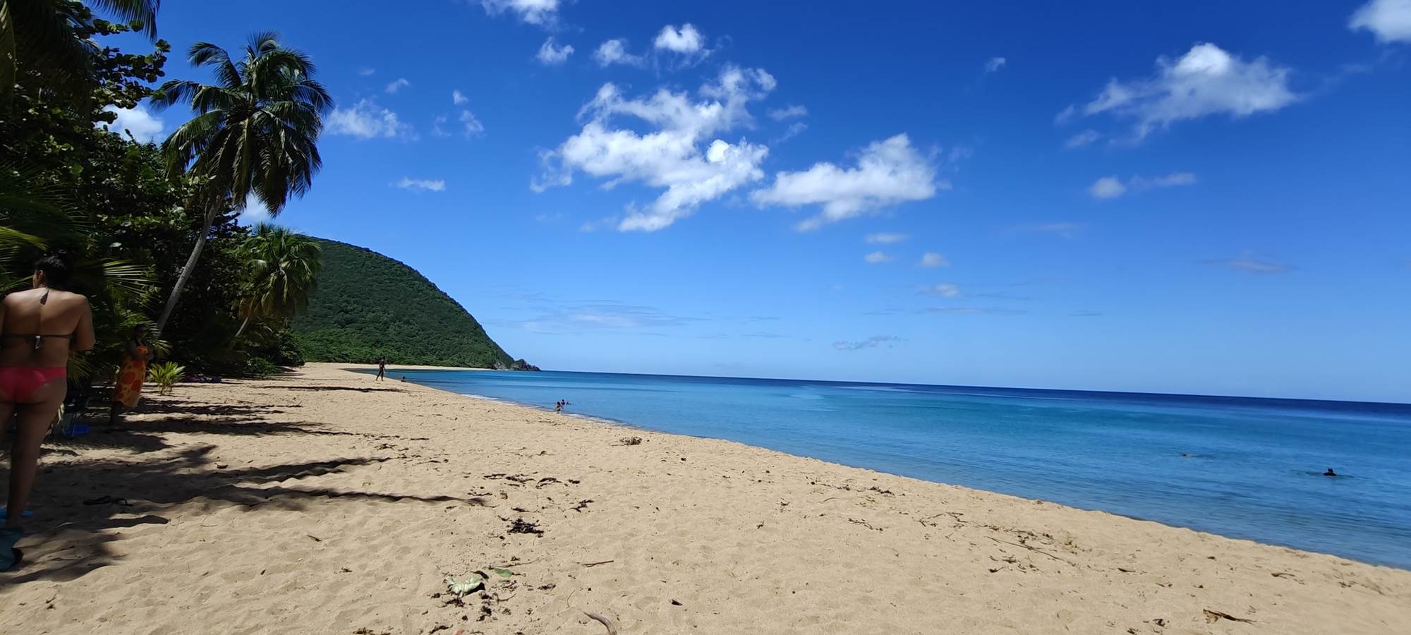 Plage de Grande Anse à 8 km du Domaine de Fanélie