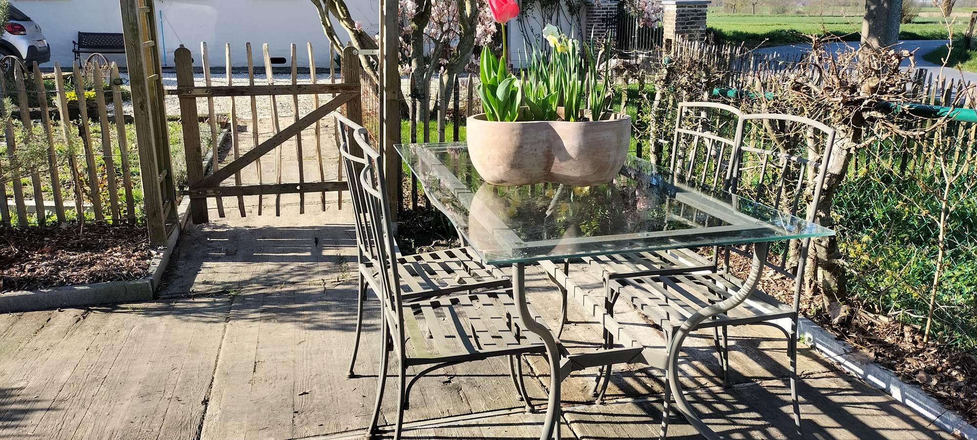 Jardin devant - tuin vooraan