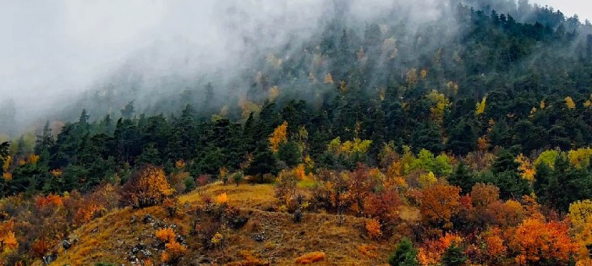 automne-en-montagne
