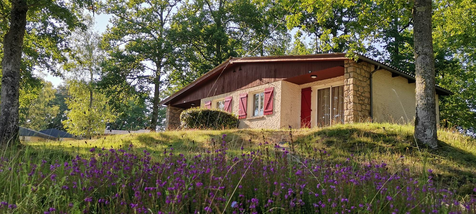 Logement Luzège Vendahaut Lapleau