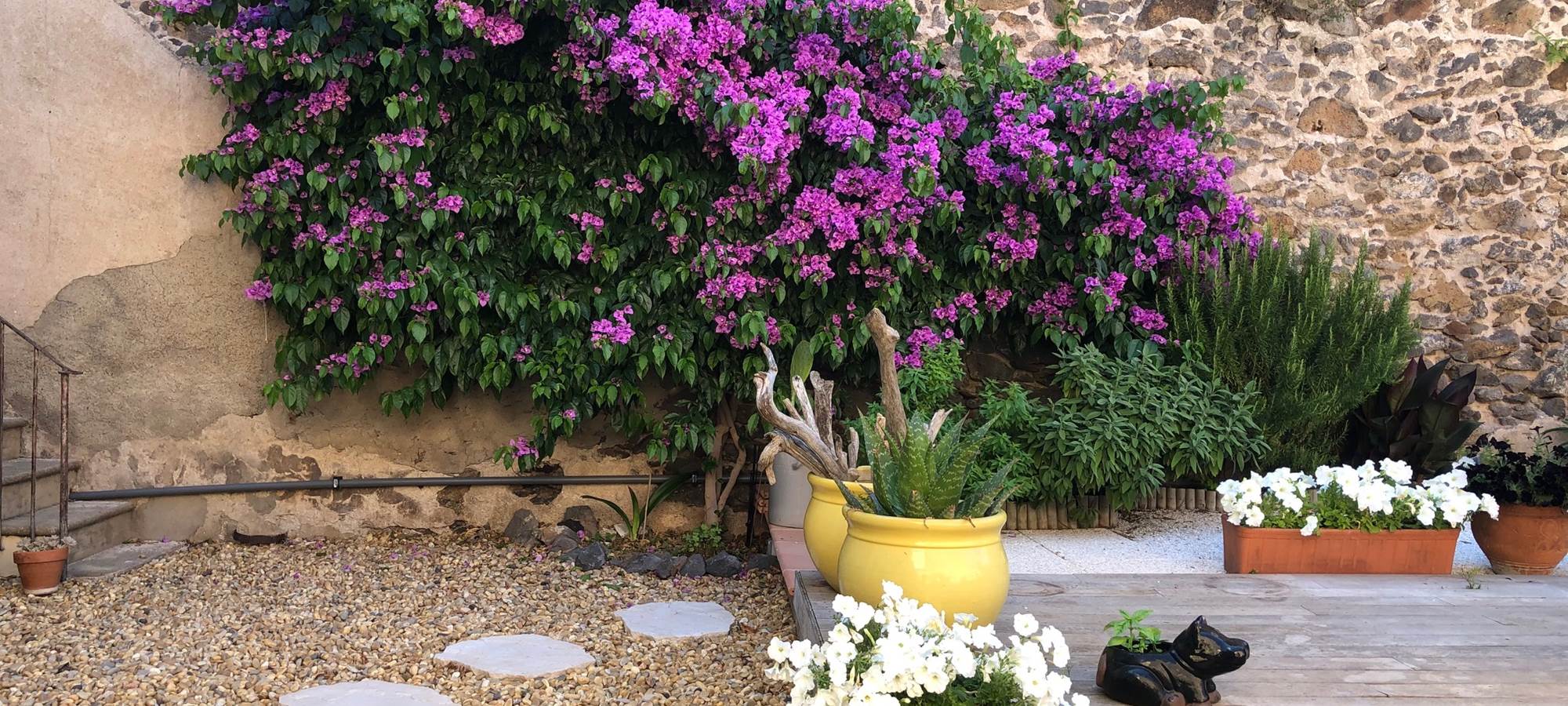 Hotel pool garden Marseillan