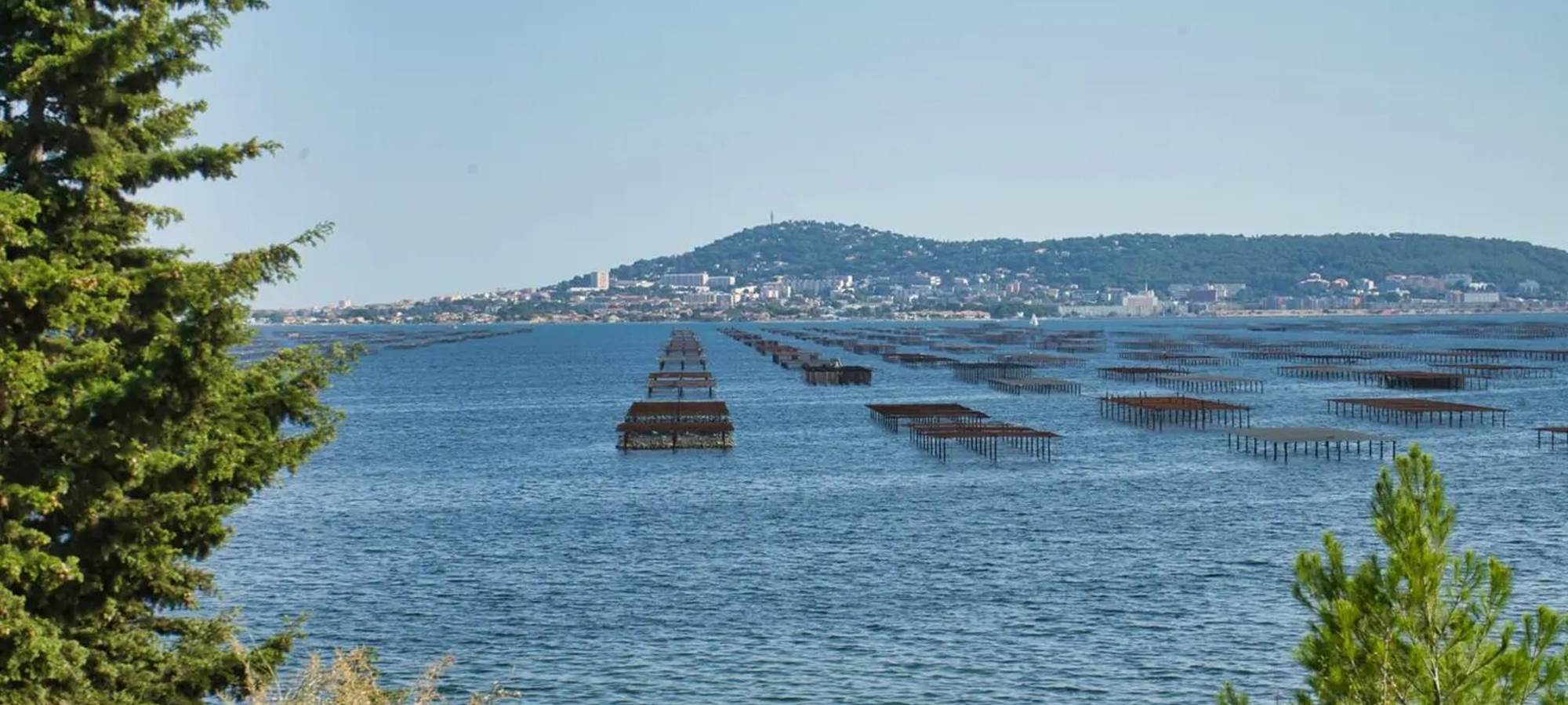 LES DEMEURES DE THAU - Etang