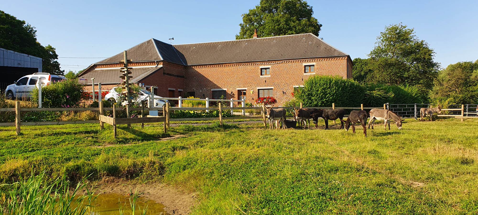 Se resourcer en pleine nature