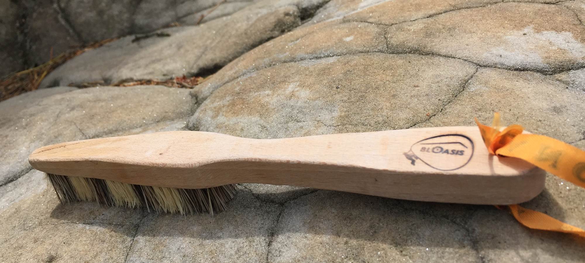 Bloasis brush for climbing at fontainebleau