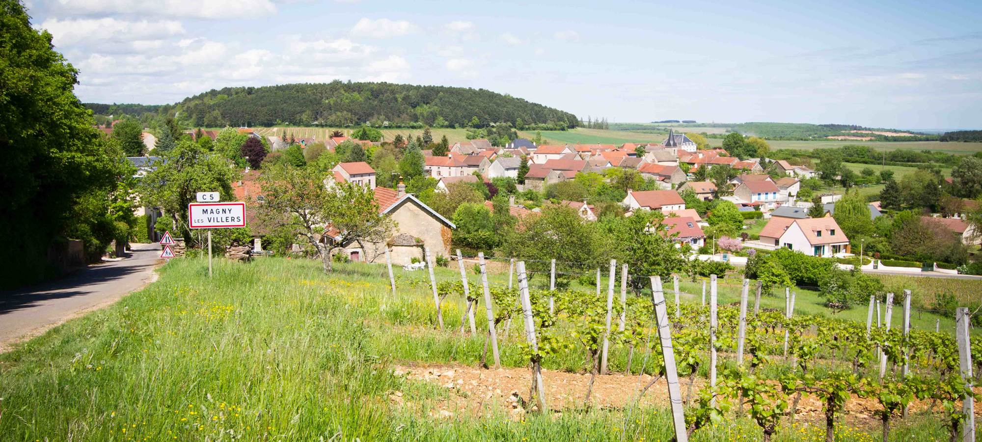 village calme dans vignoble de cote d'or au printemps