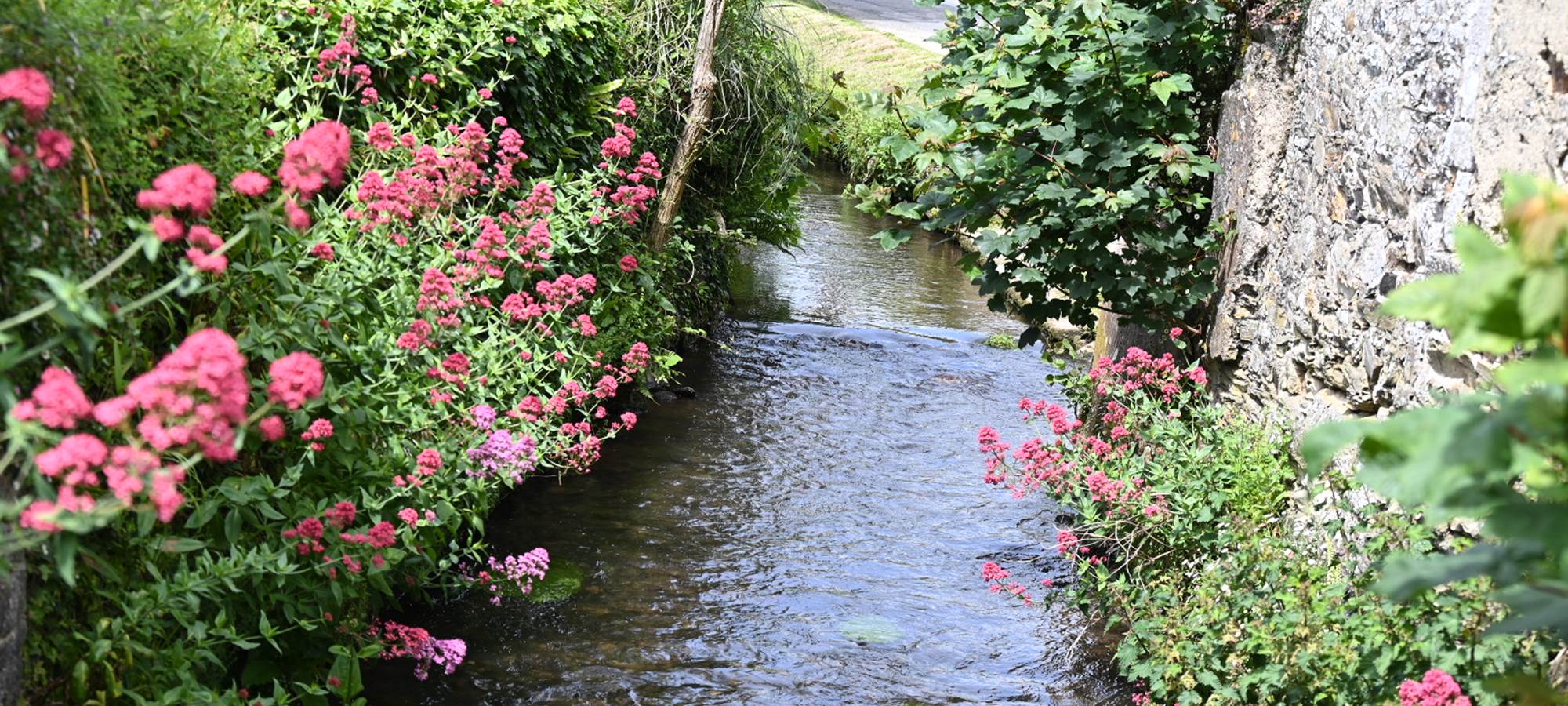 aufildeleau-cotentin-bnb-chambre-hote-le vast