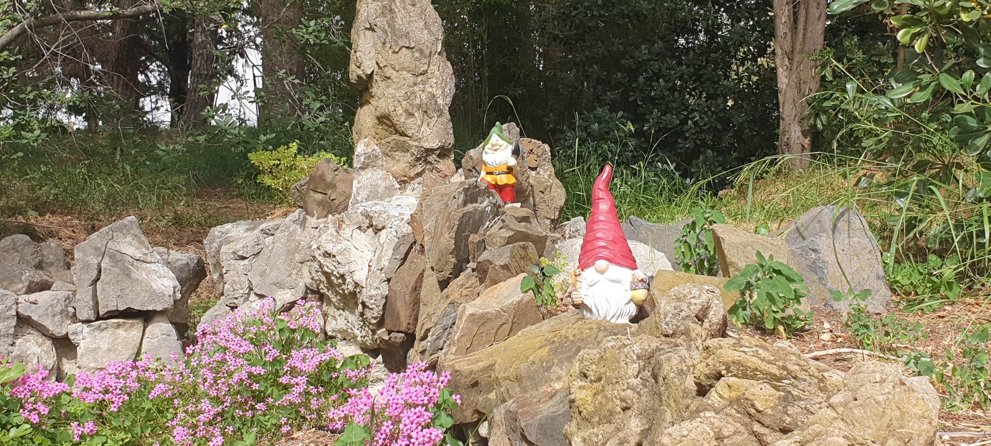 LES CHAMBRES DE MON P'TIT MAS - chambres d'hôtes - propriété rurale - Jardin