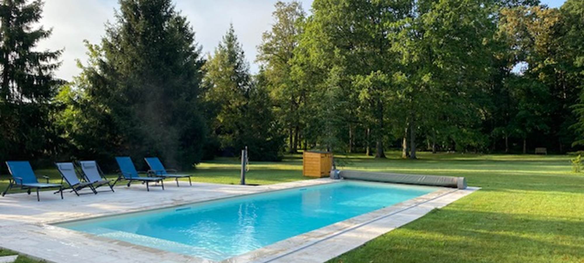 Une piscine au coeur de la végétation.