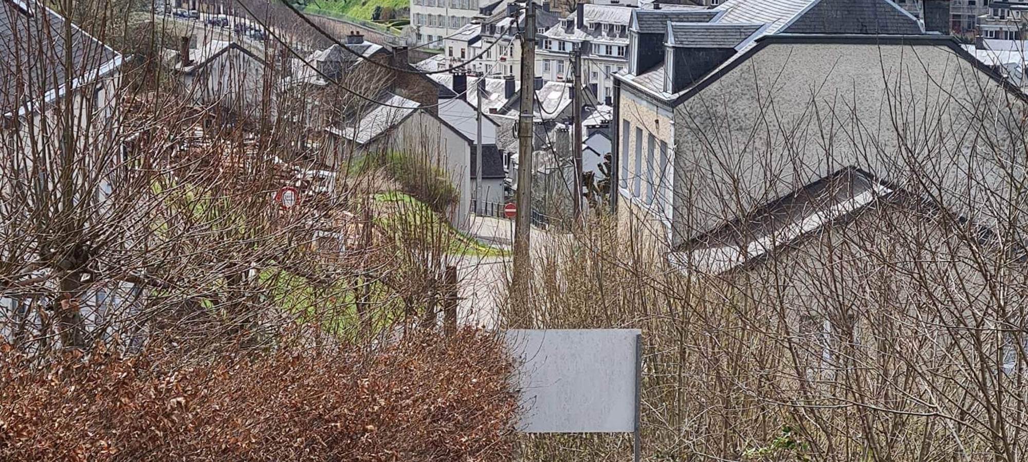 Vue des Jardins de La Ferronnière