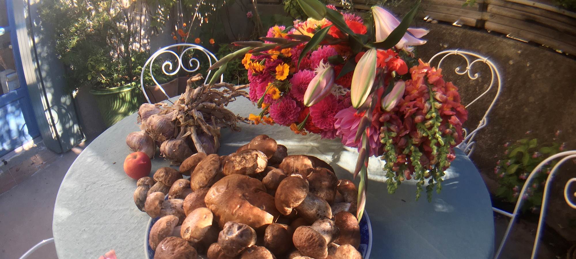 automne: fleurs et cèpes