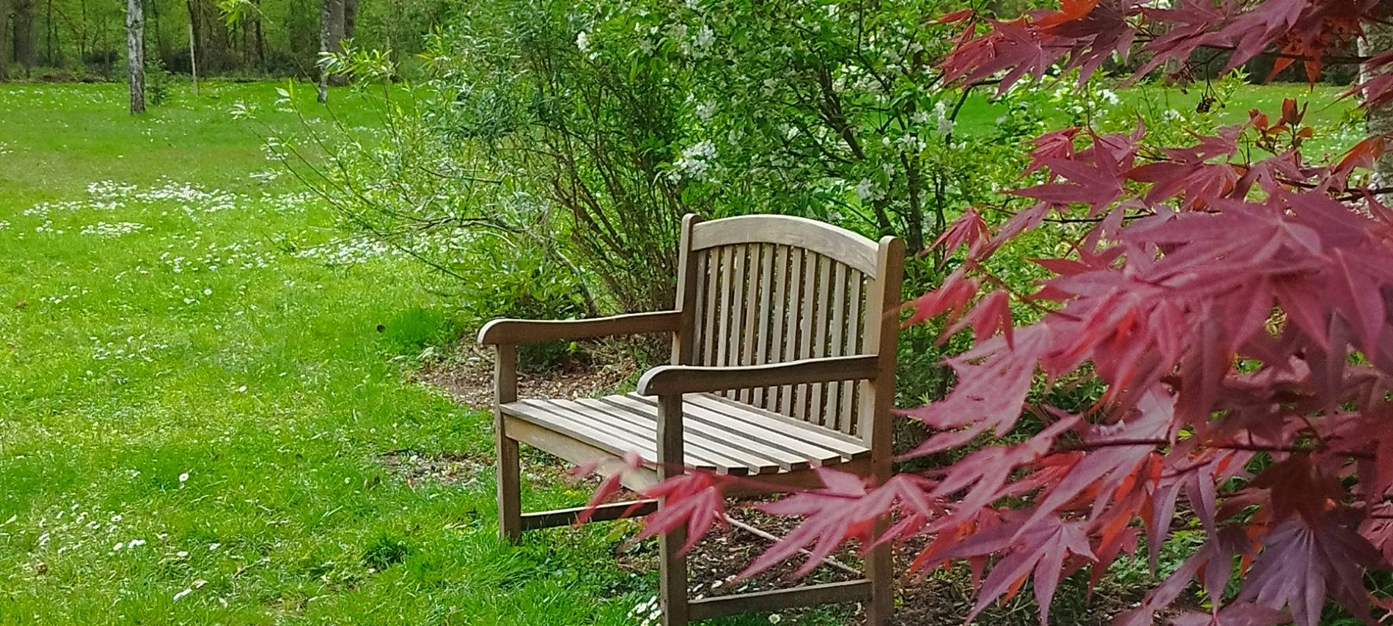 Évadez-vous dans un havre de paix où le temps s'arrête. Notre région vous offre des paysages à couper le souffle : forêts verdoyantes, plages de sable fin, montagnes majestueuses... Ici, vous trouverez de nombreux coins tranquilles pour vous ressourcer, loin du tumulte de la ville. Laissez-vous bercer par le chant des oiseaux et respirez à pleins poumons l'air pur de la nature