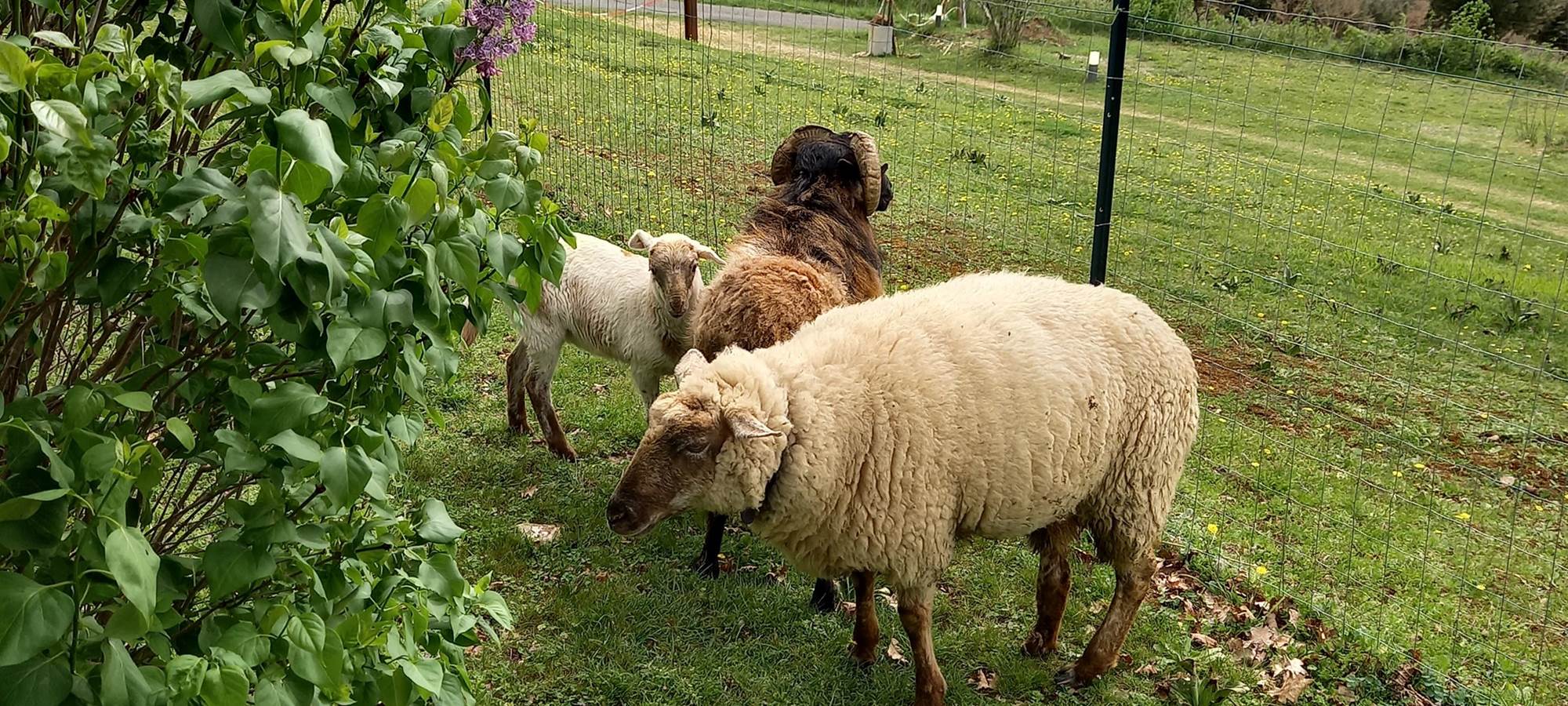 rocamadour nature randonnée