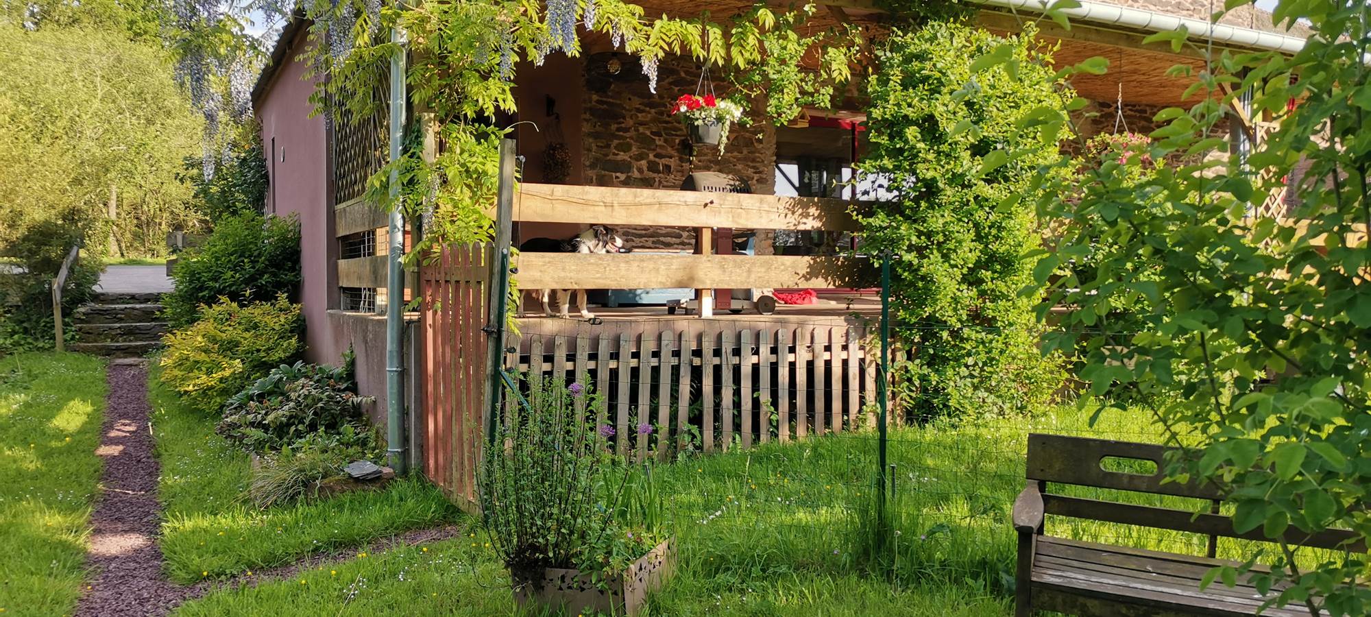 IMG_20230517_191754[1]