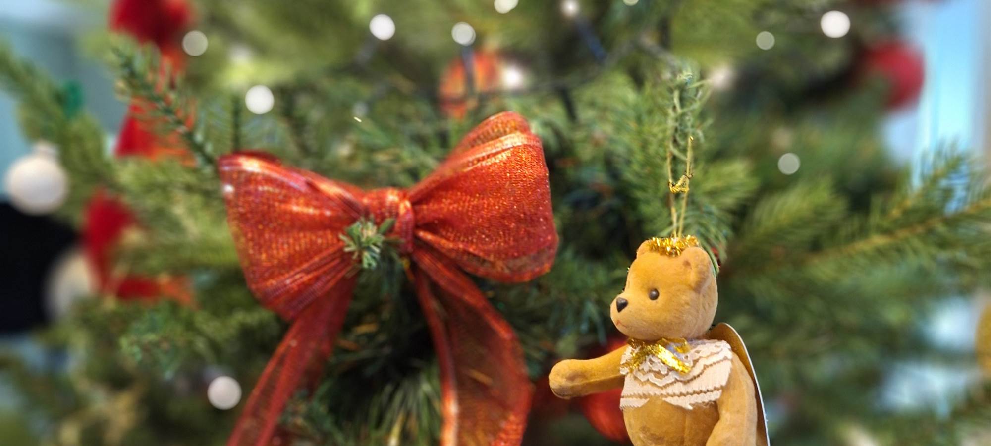 détail sapin le Quatre Feuilles proche Puy du Fou