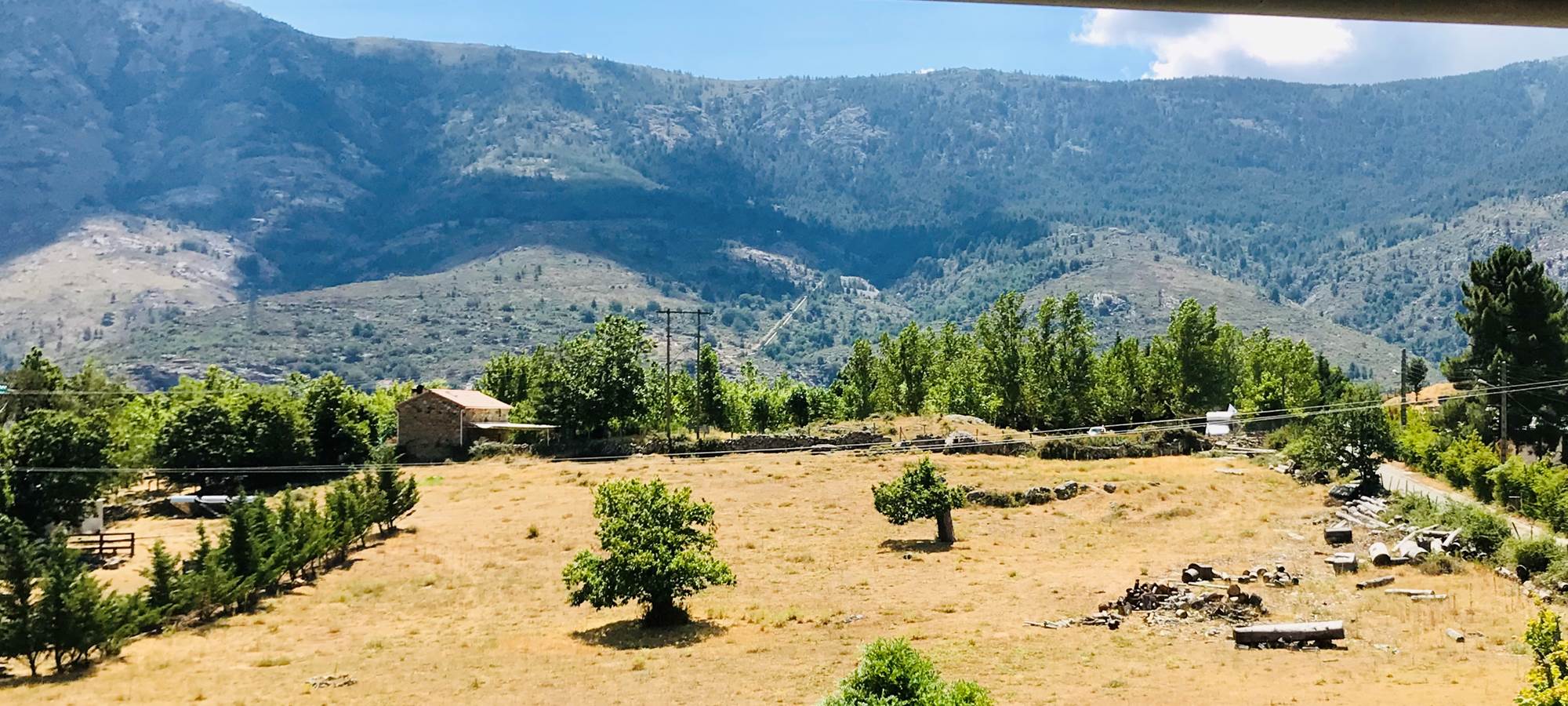 vue depuis la chambre