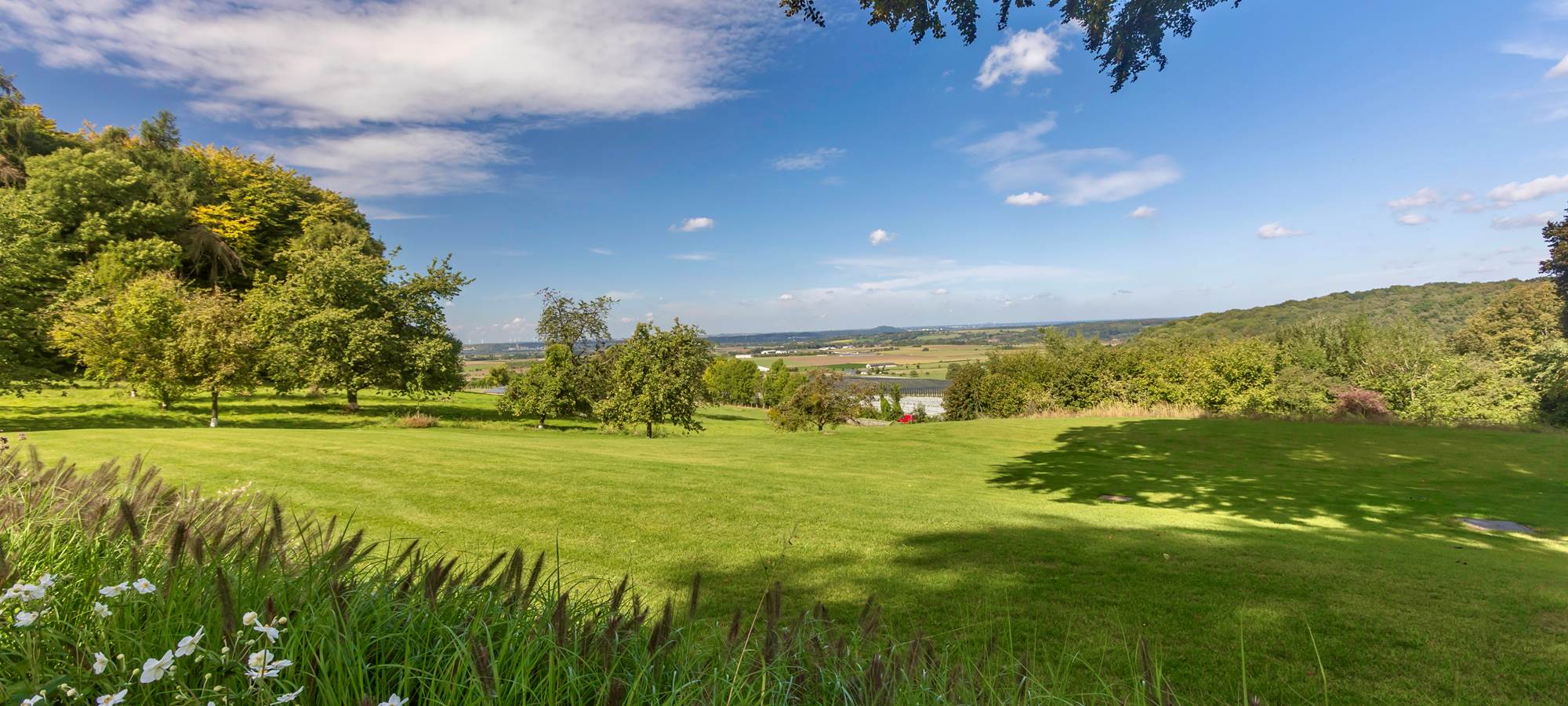 Extérieur parc arrière