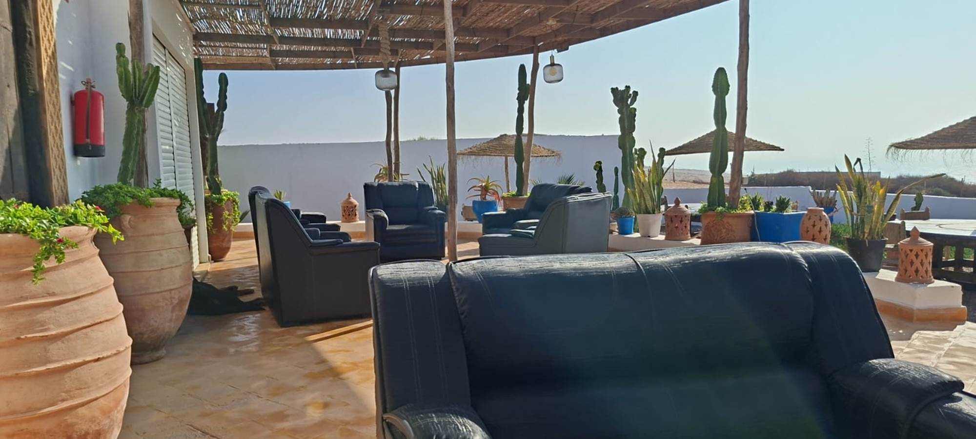 WhatsApp Image 2025-10-23 at 08.22.58