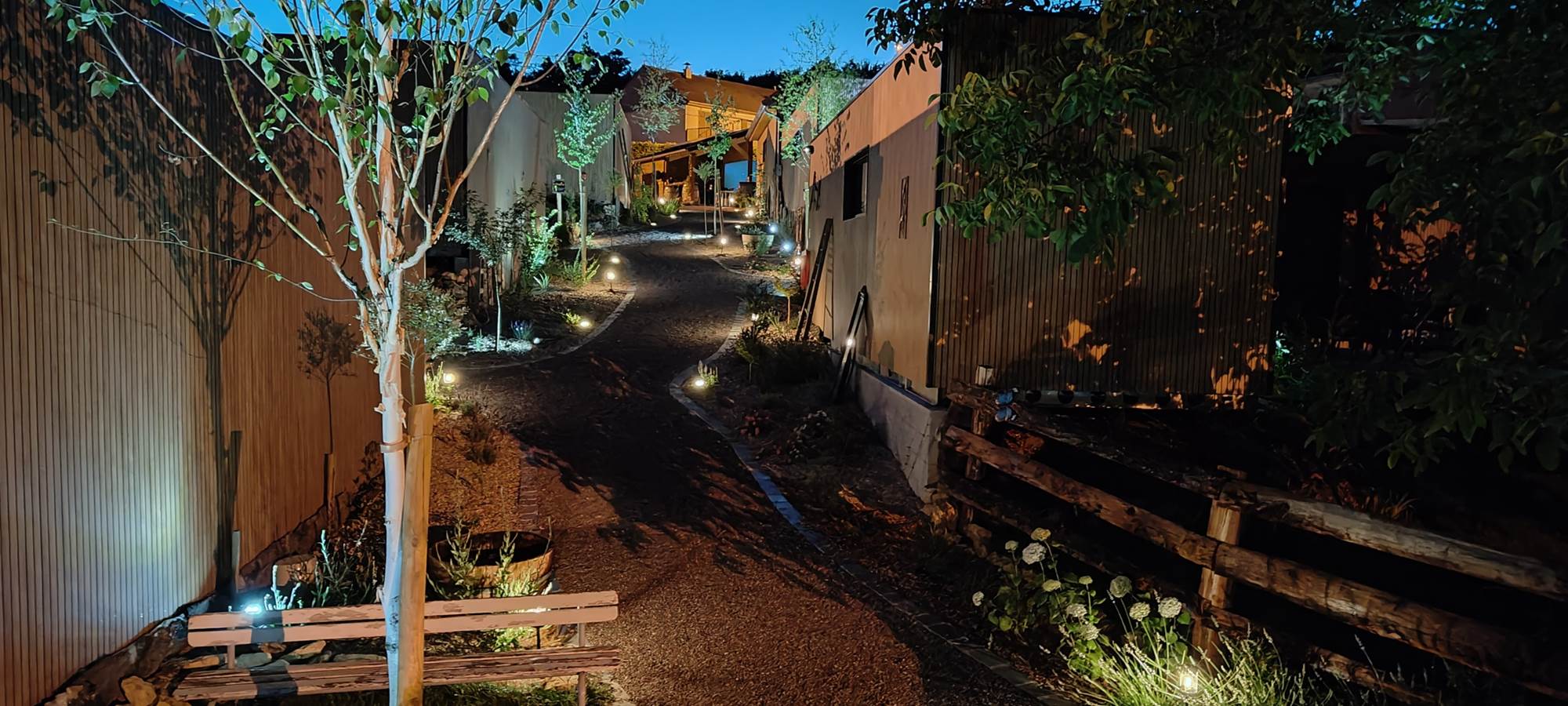 bas-allée-principale-de-nuit