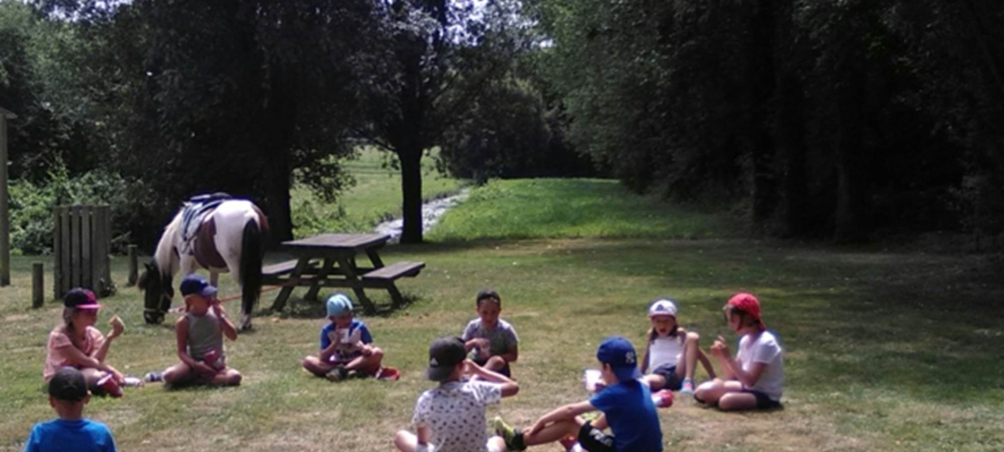 Arrêt au marais pour animation musique verte et pique nique