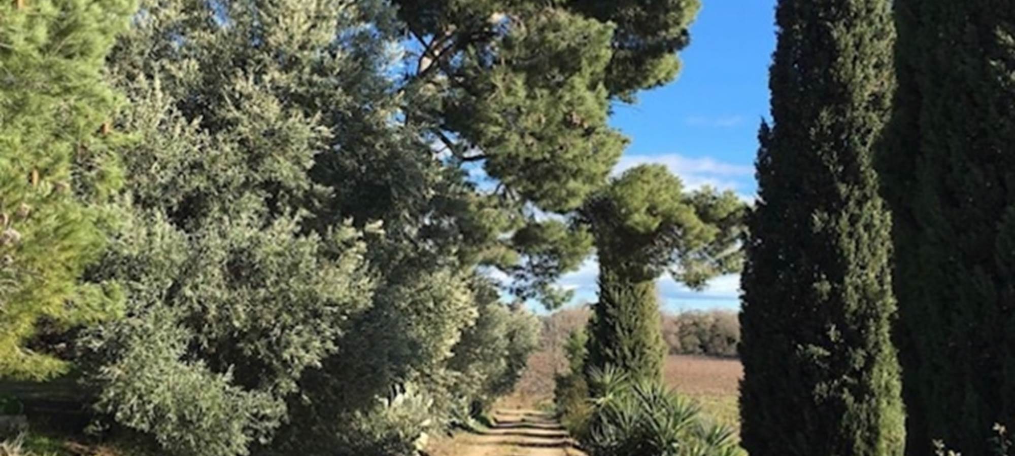 gîte à la campagne