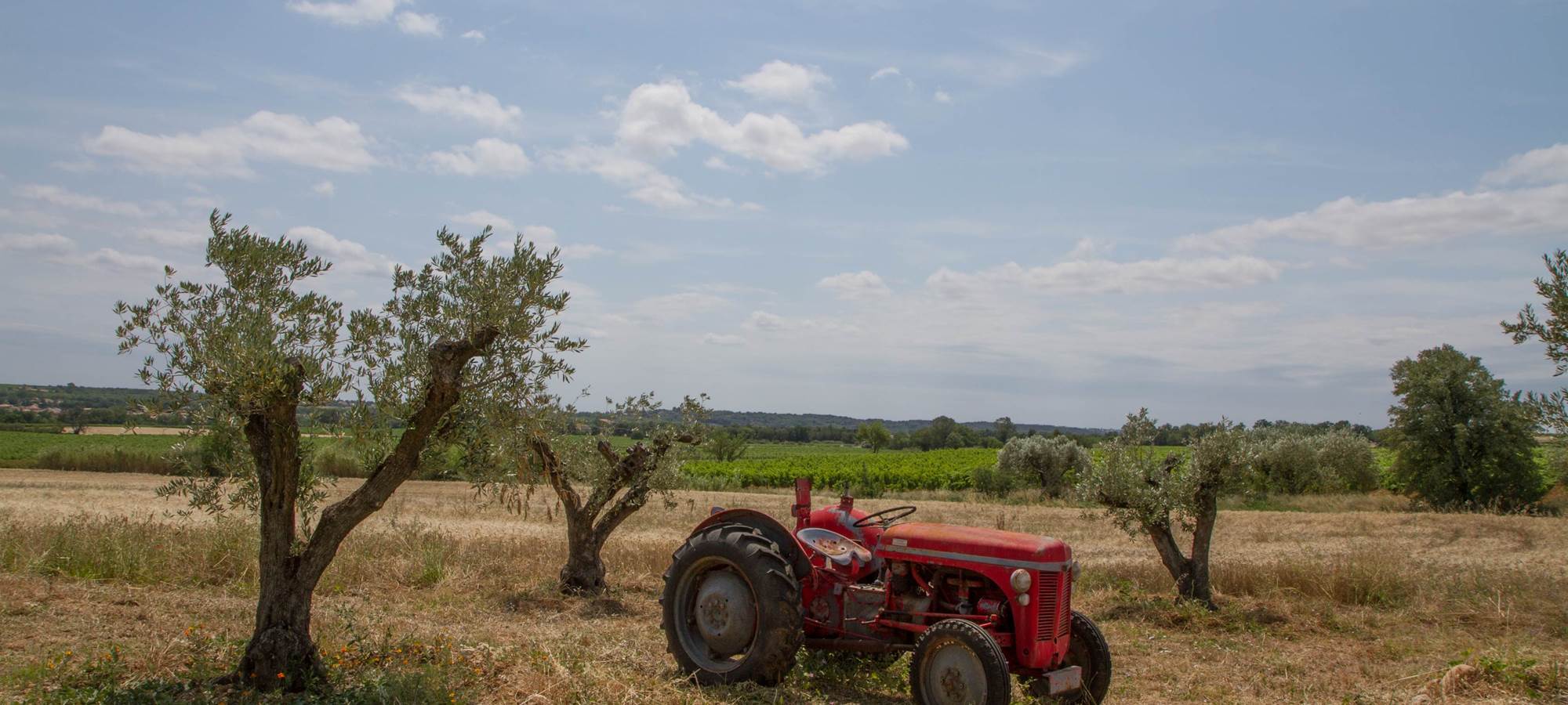 Vue panoramique sur le domaine viticole entouré de vignes à Puimisson, dans l’Hérault