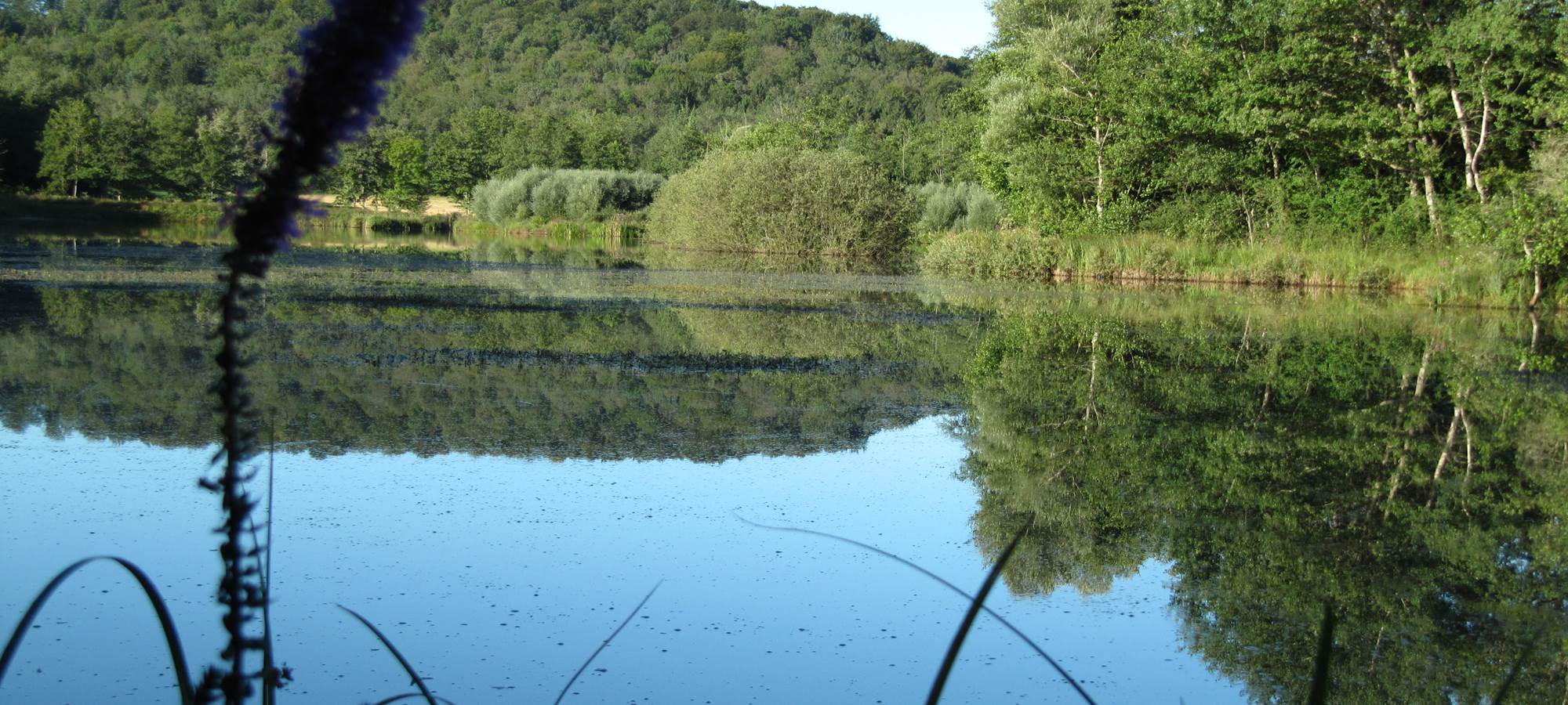 Environnement du Relais des deux tours "Etang du Breuillez"