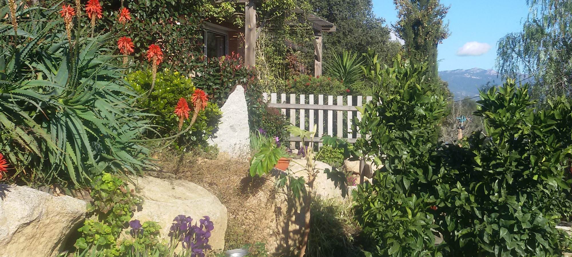 Le jardin de "LA ESCALA"