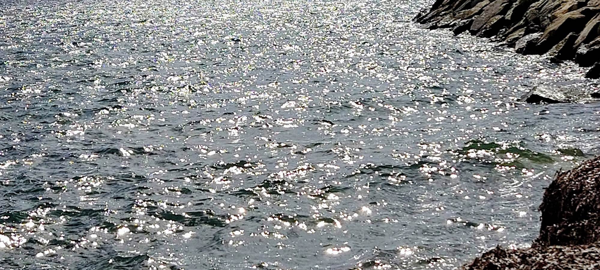 Cigaleo chambre d'hôtes Carnoules Var mer