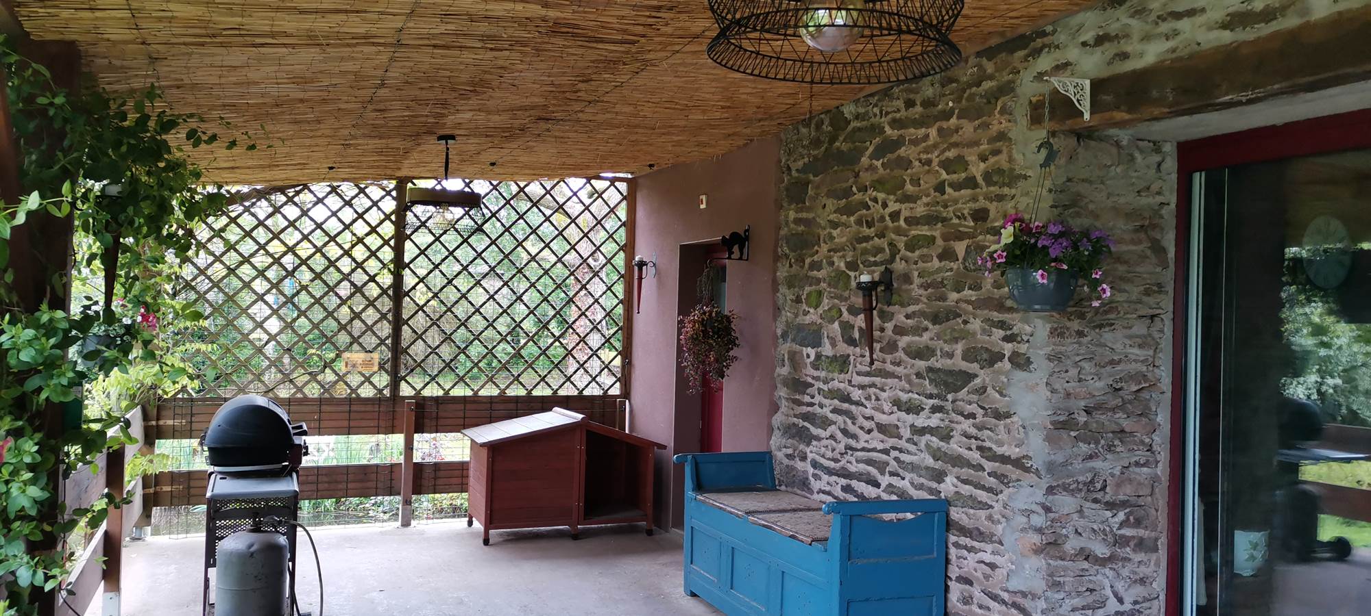 IMG_20230509_115056[1]