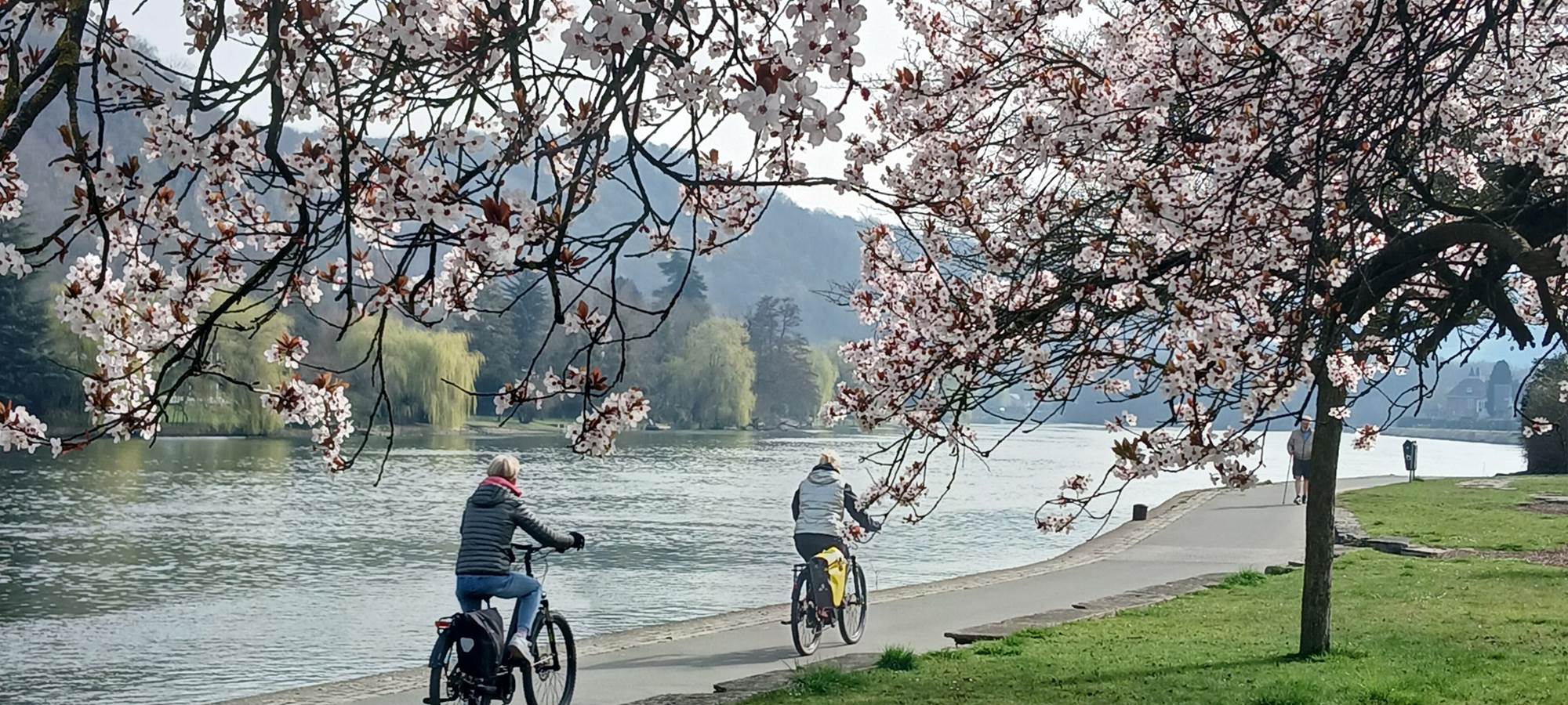 balade sur le RAVEL de la Meuse
