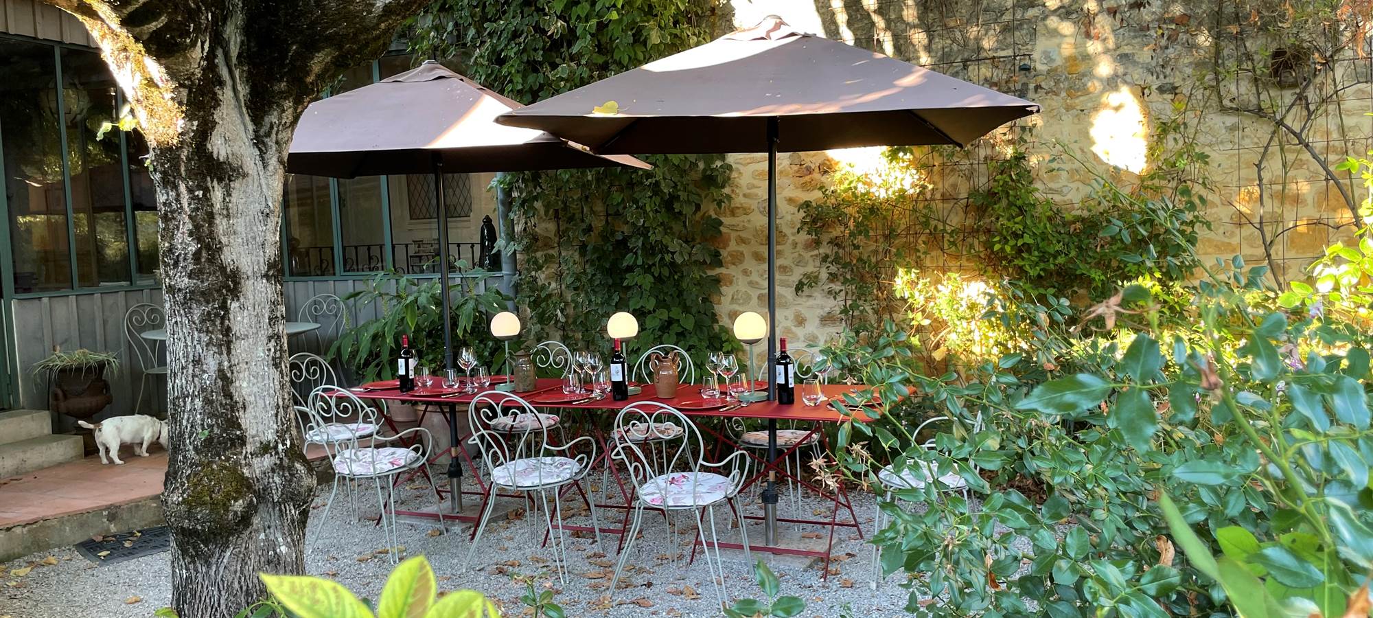 terrasse-tilleul-gite-domme