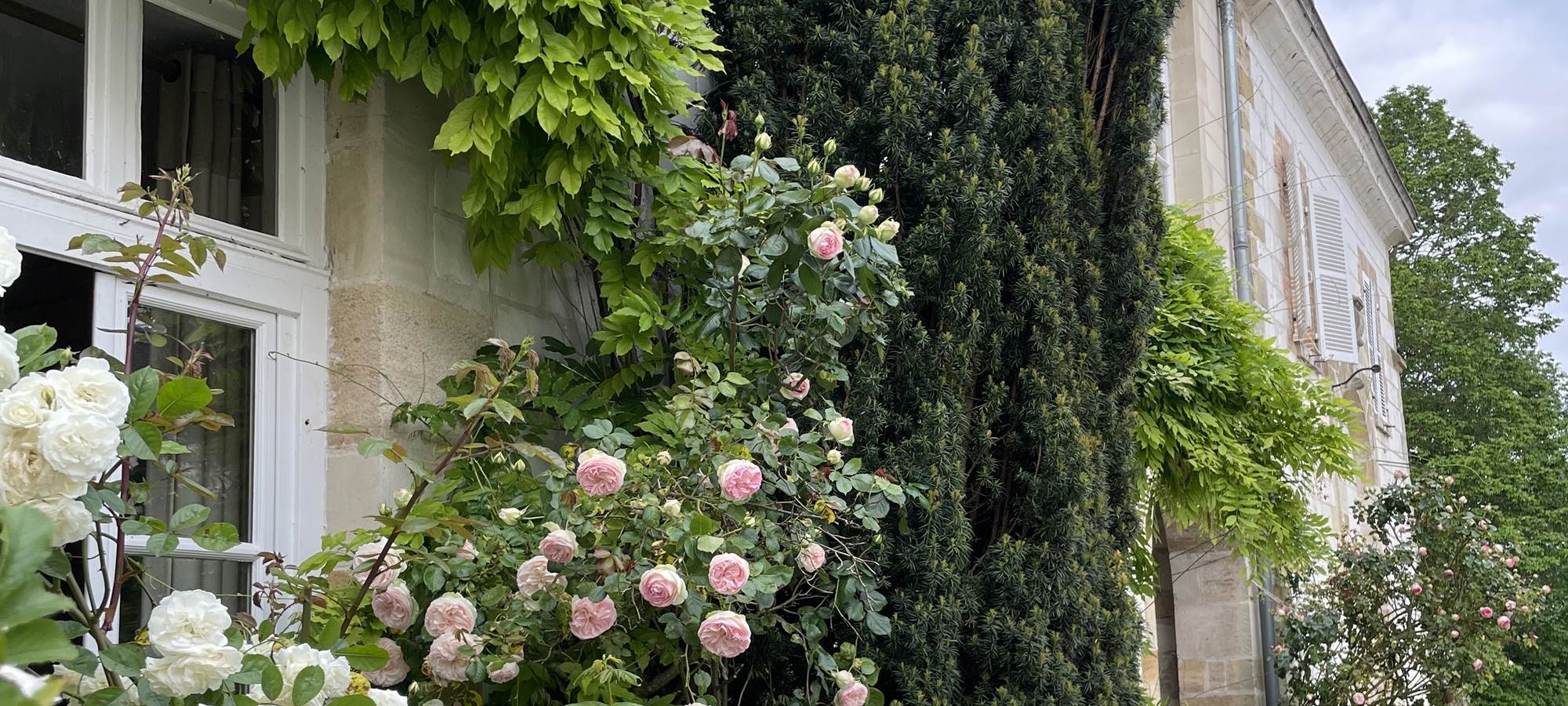 Façade fleurie aile droite