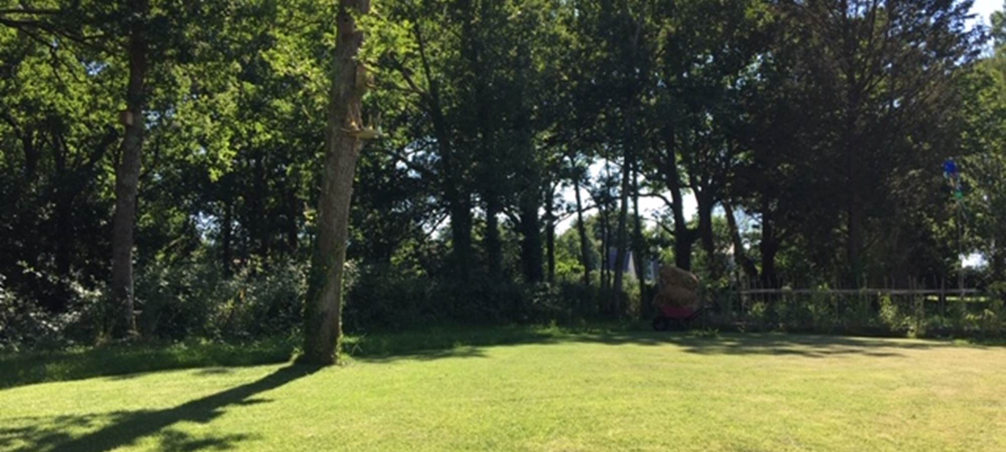 Le jardin boisé des Pierres Blanches