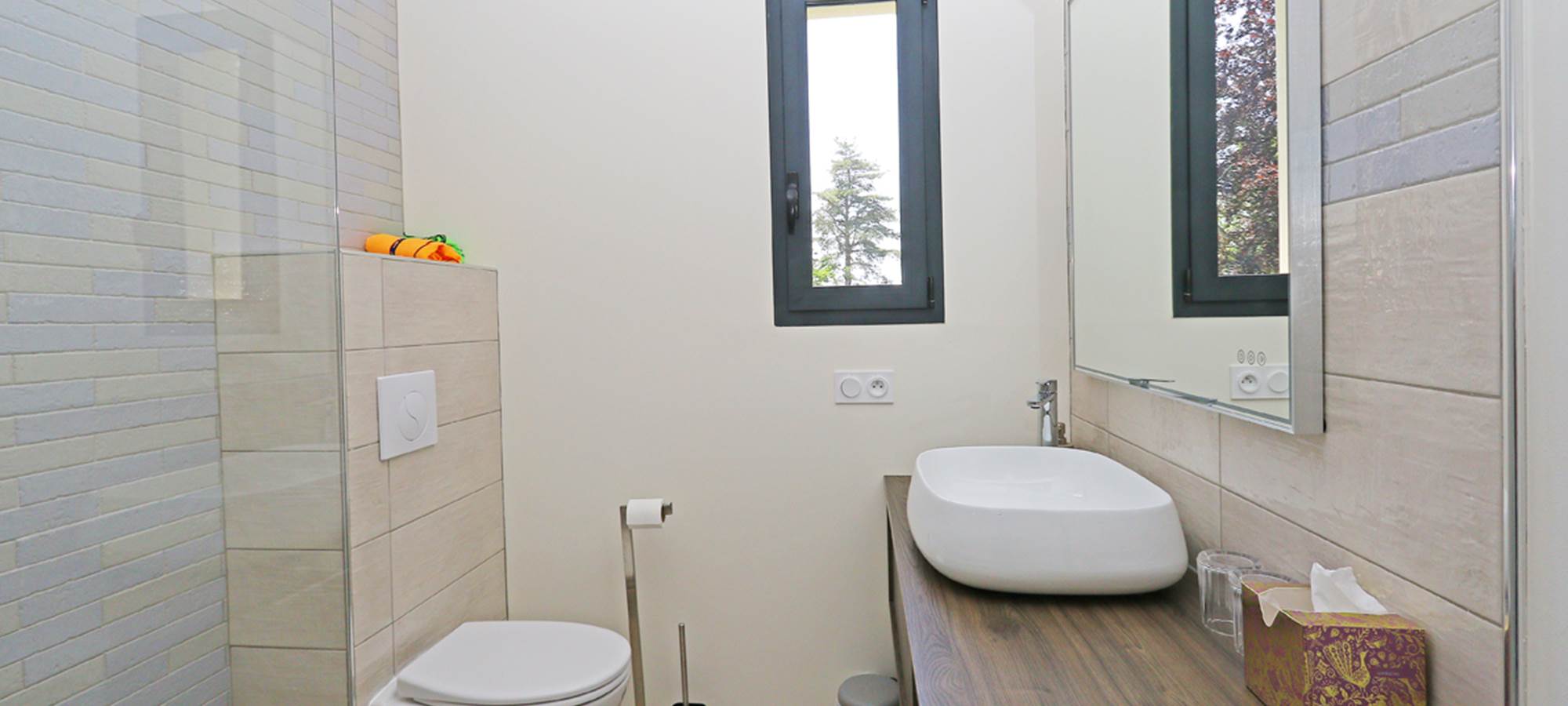 Esprit du Clain (36)BD