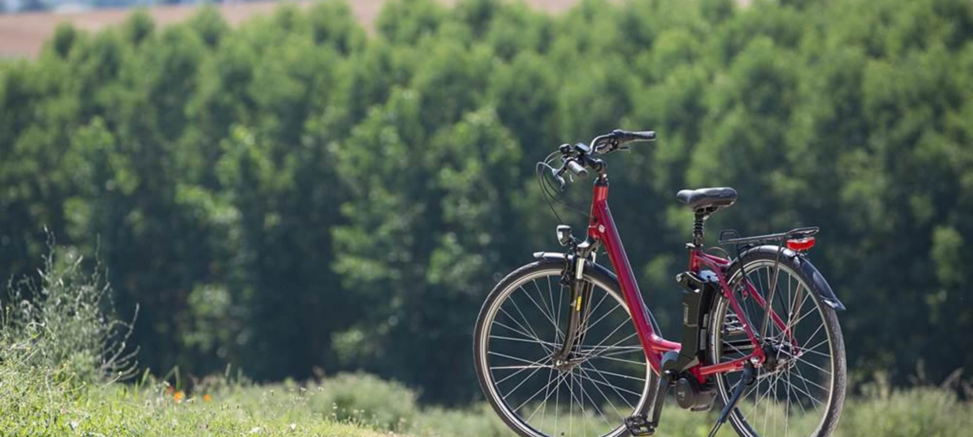 Village de Gîtes LES CHALETS DE GRAZIMIS - vacances dans le Gers - 55 balade velo vacances
