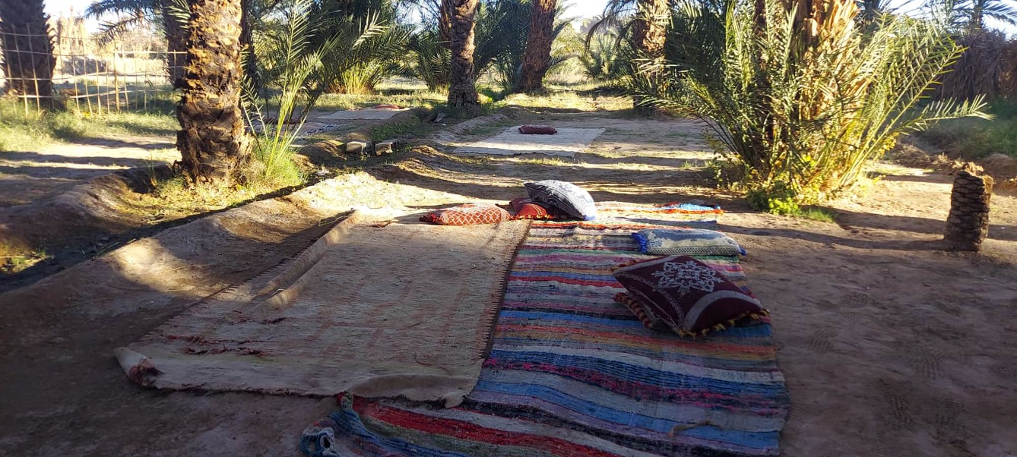 WhatsApp Image 2025-01-21 at 11.56.19