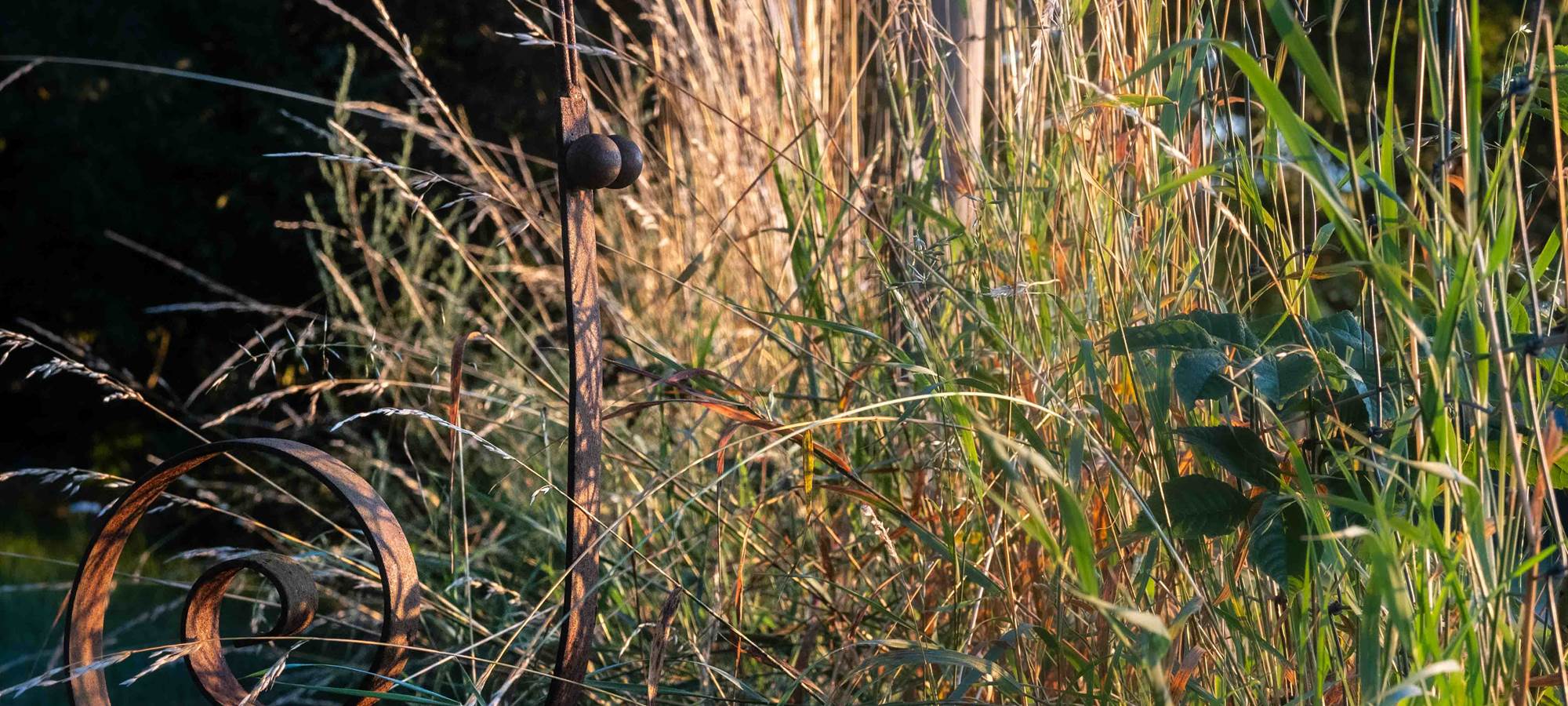 10 Escargot.- MSA_0674_