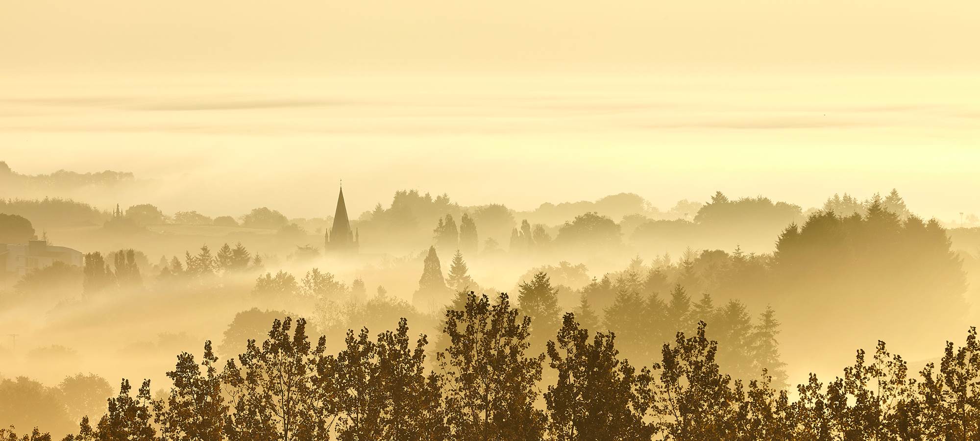 bocage dans la brume