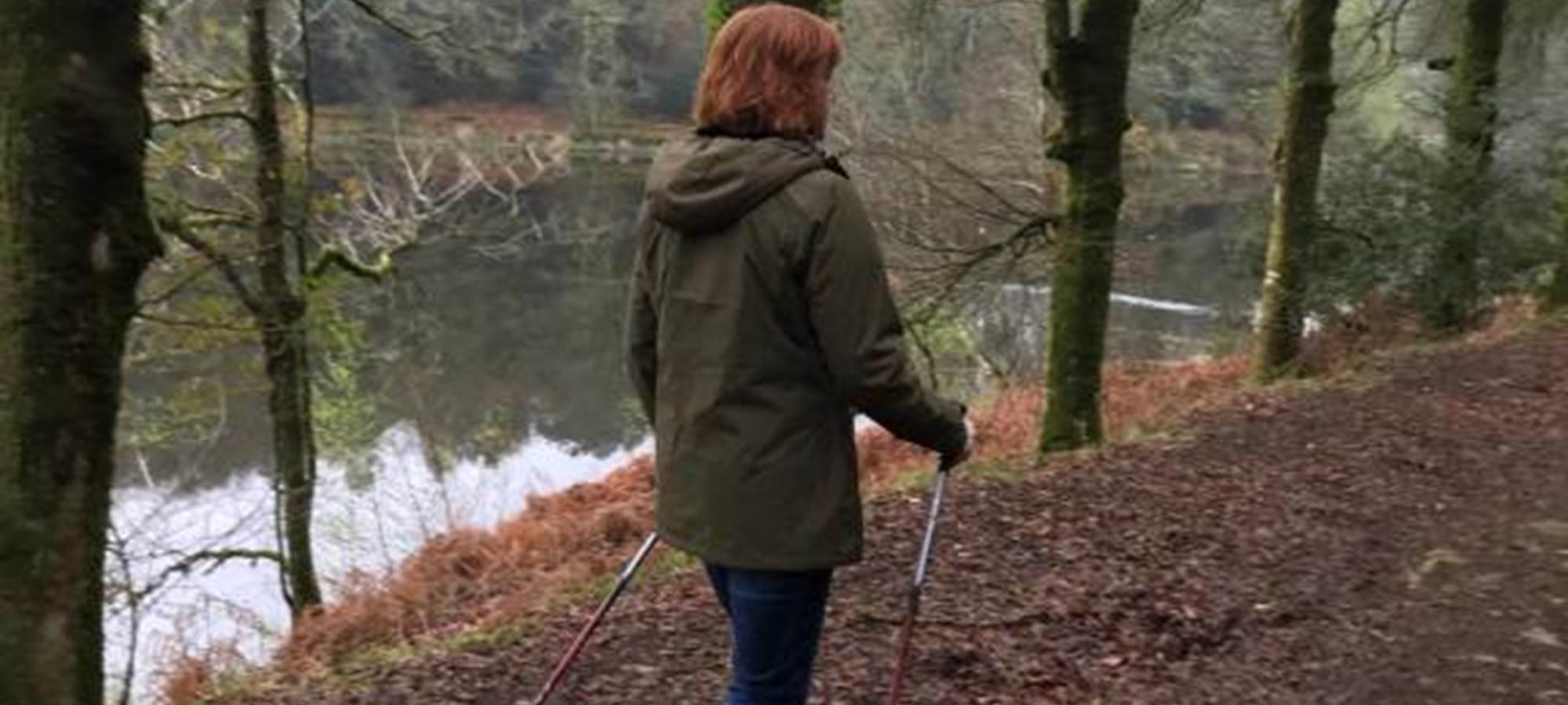 Chemin de randonnée autour de l'étang