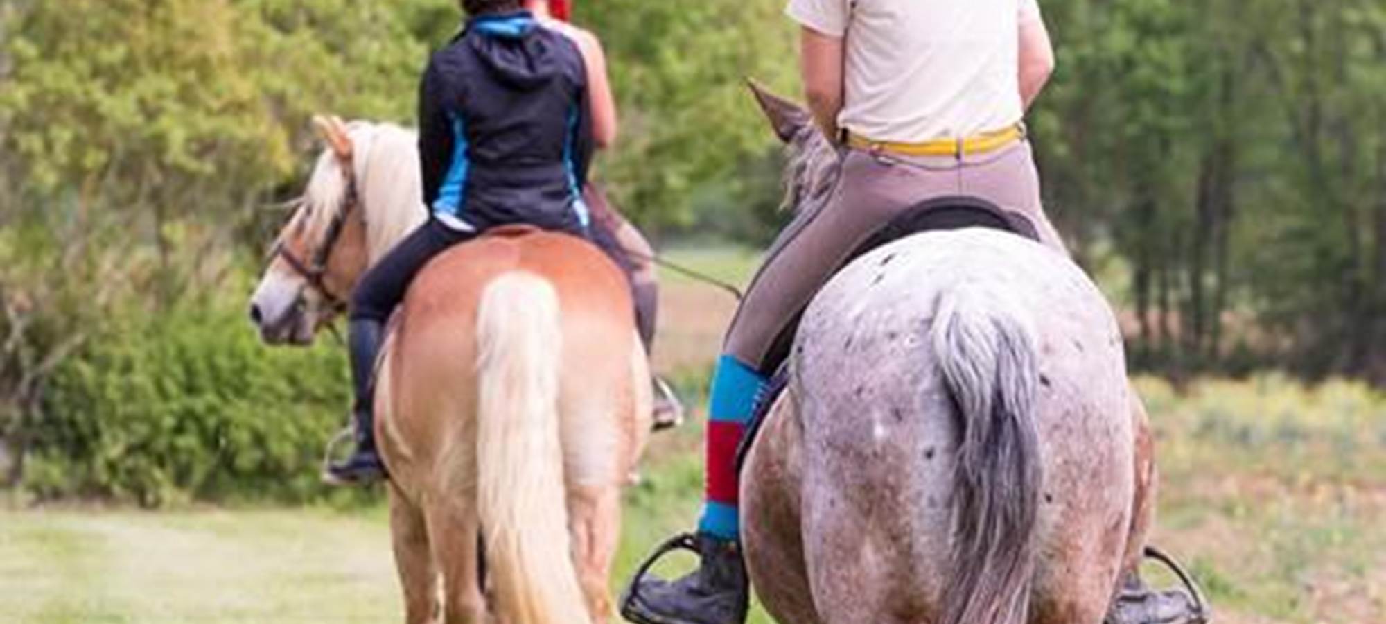 Village de Gîtes LES CHALETS DE GRAZIMIS - vacances dans le Gers - 57 equitation
