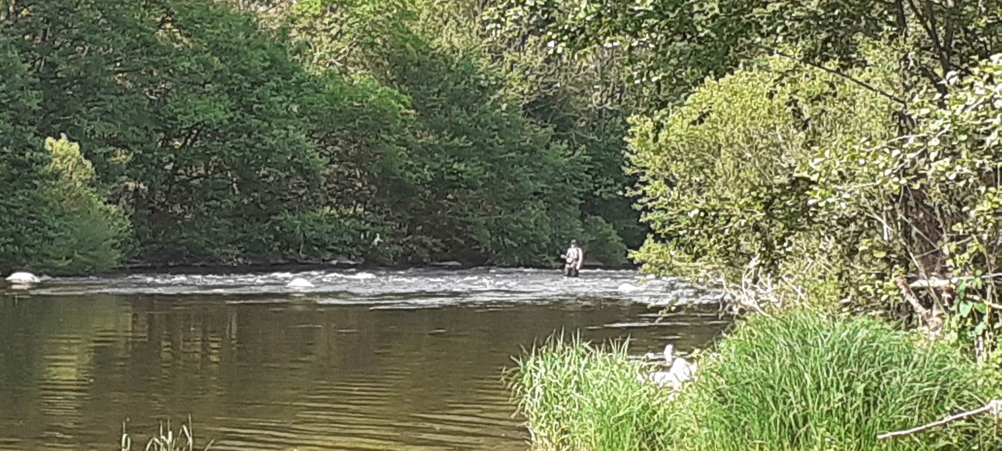 Partie de pêche sur l'Allier