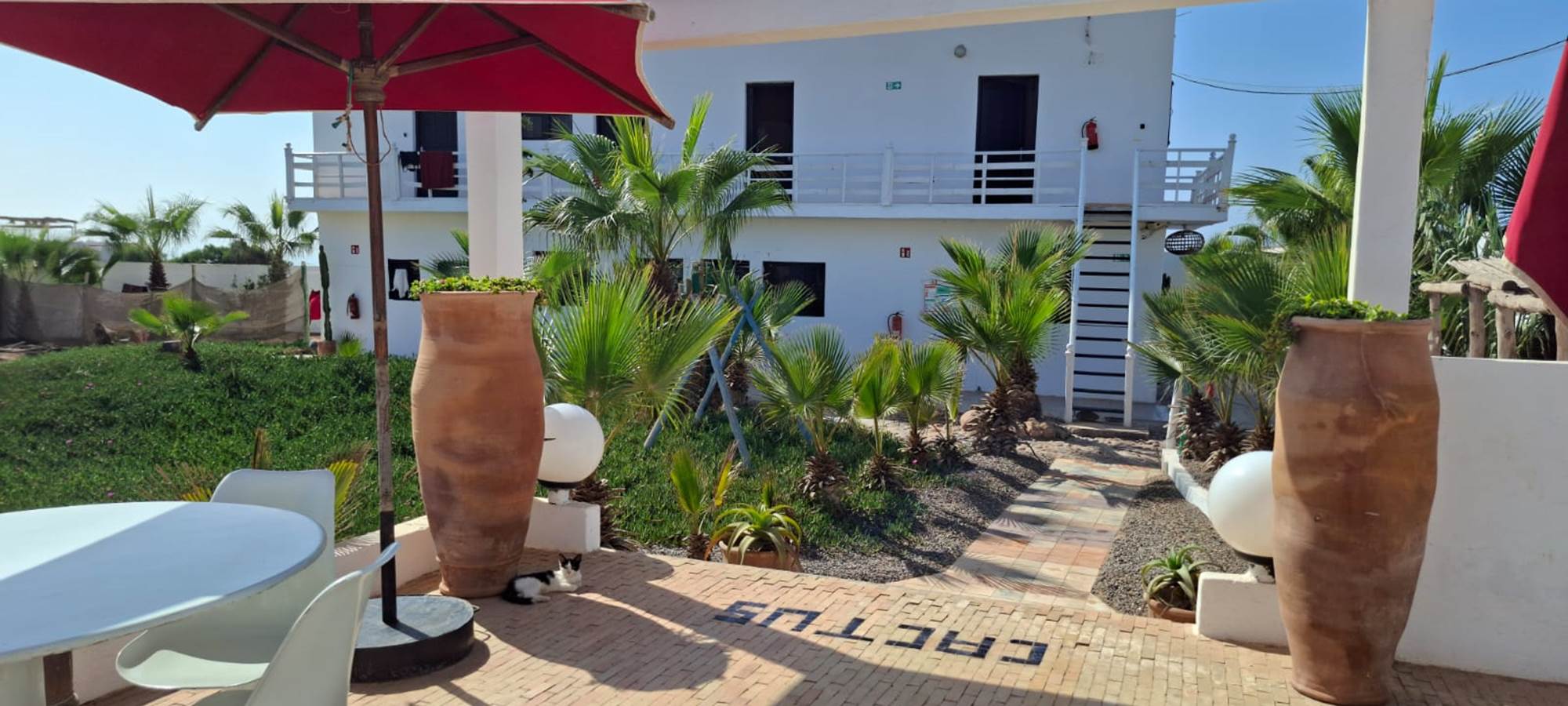 WhatsApp Image 2025-10-23 at 08.52.08