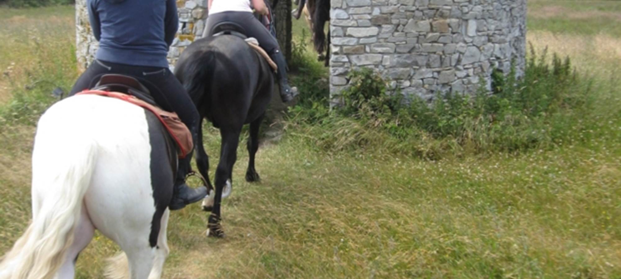 Promenade montée Mont de Doville