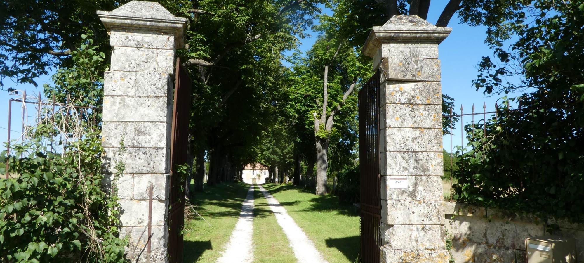 L'entrée et l'allée de marronniers centenaires vers le Domaine