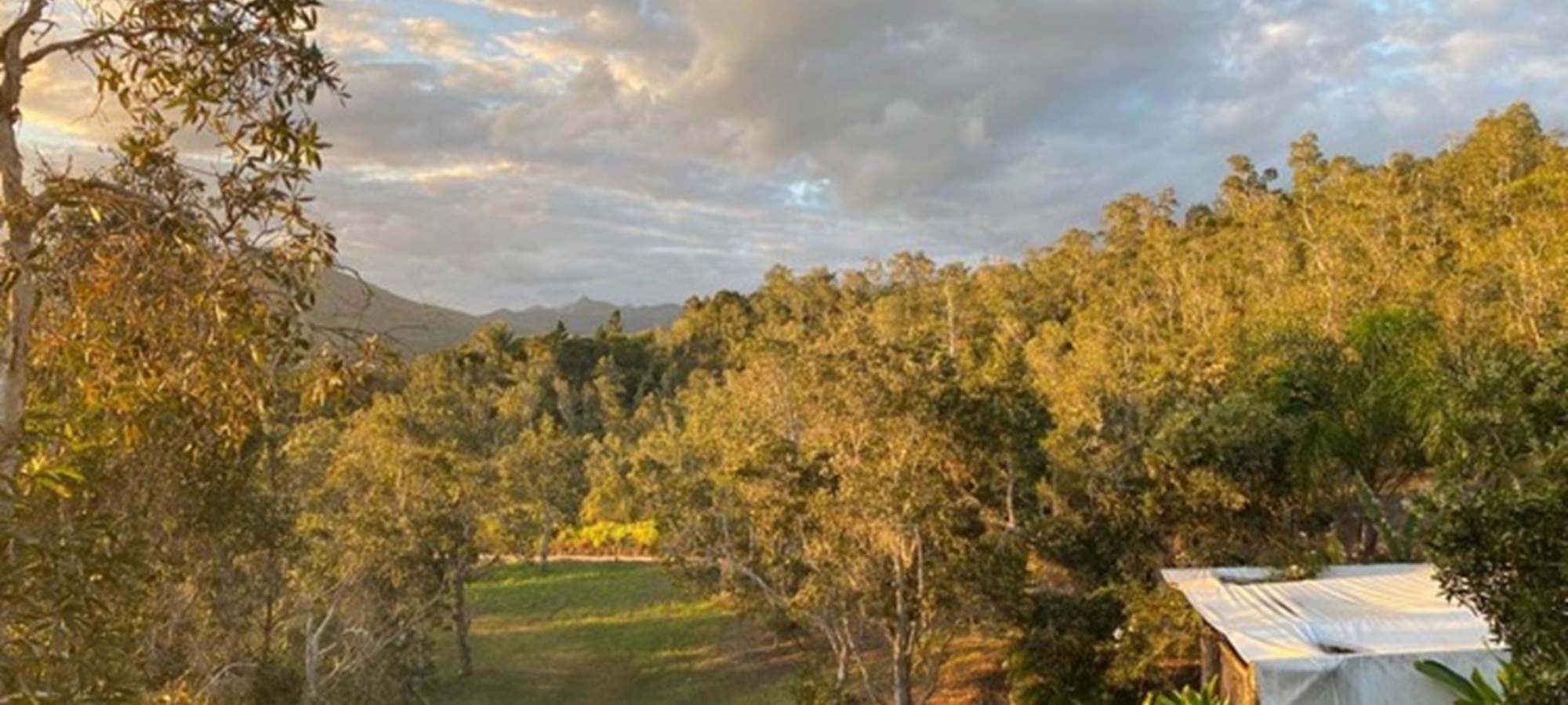 9c6a7811-9780-46c2-bb03-c92a4744bf2b Medium