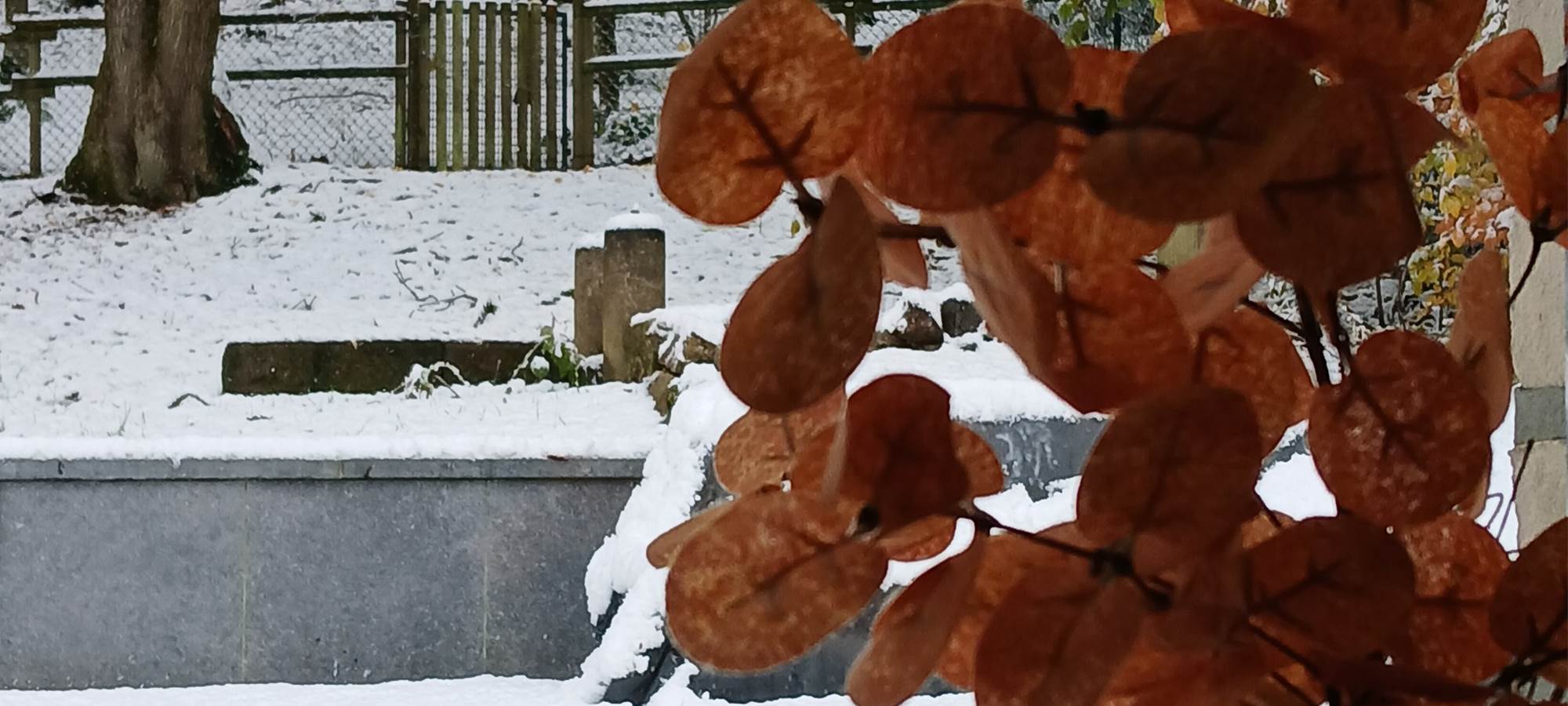 un jour de neige hébergement nature Loft du renard Namur
